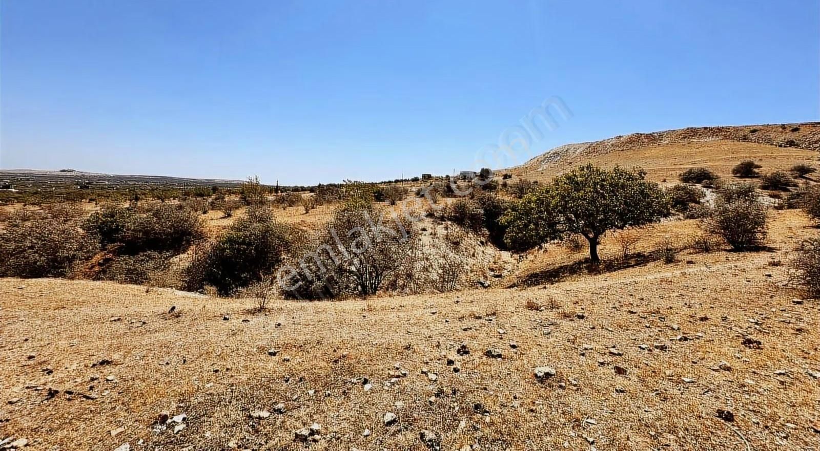 Beymahall Gyo Körkün A2 Fırsat Yatırımlık Arsa - Görsel 2