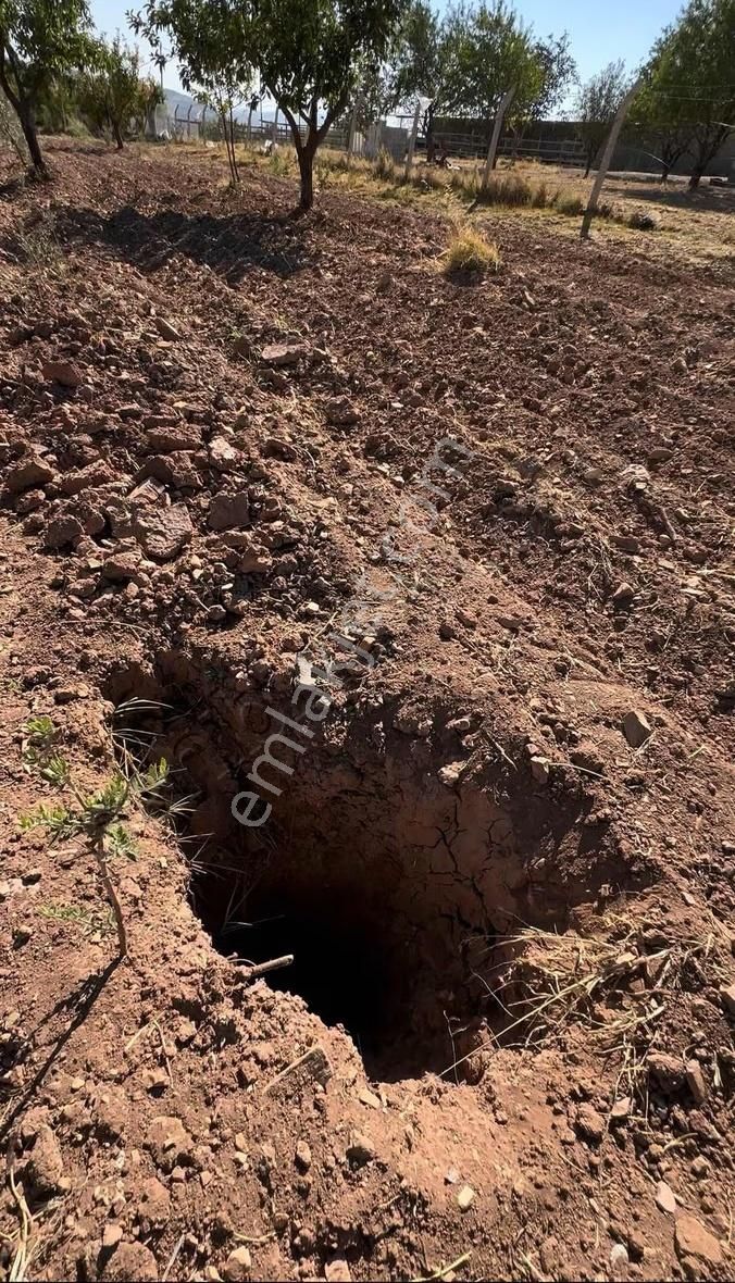 Beymahall Gyo Beşkuyu Asfalt Üstü Çevrili Yatırımlık Arazi - Görsel 2