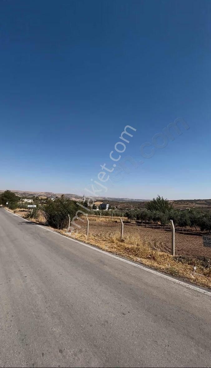 Beymahall Gyo Beşkuyu Asfalt Üstü Çevrili Yatırımlık Arazi - Görsel 3