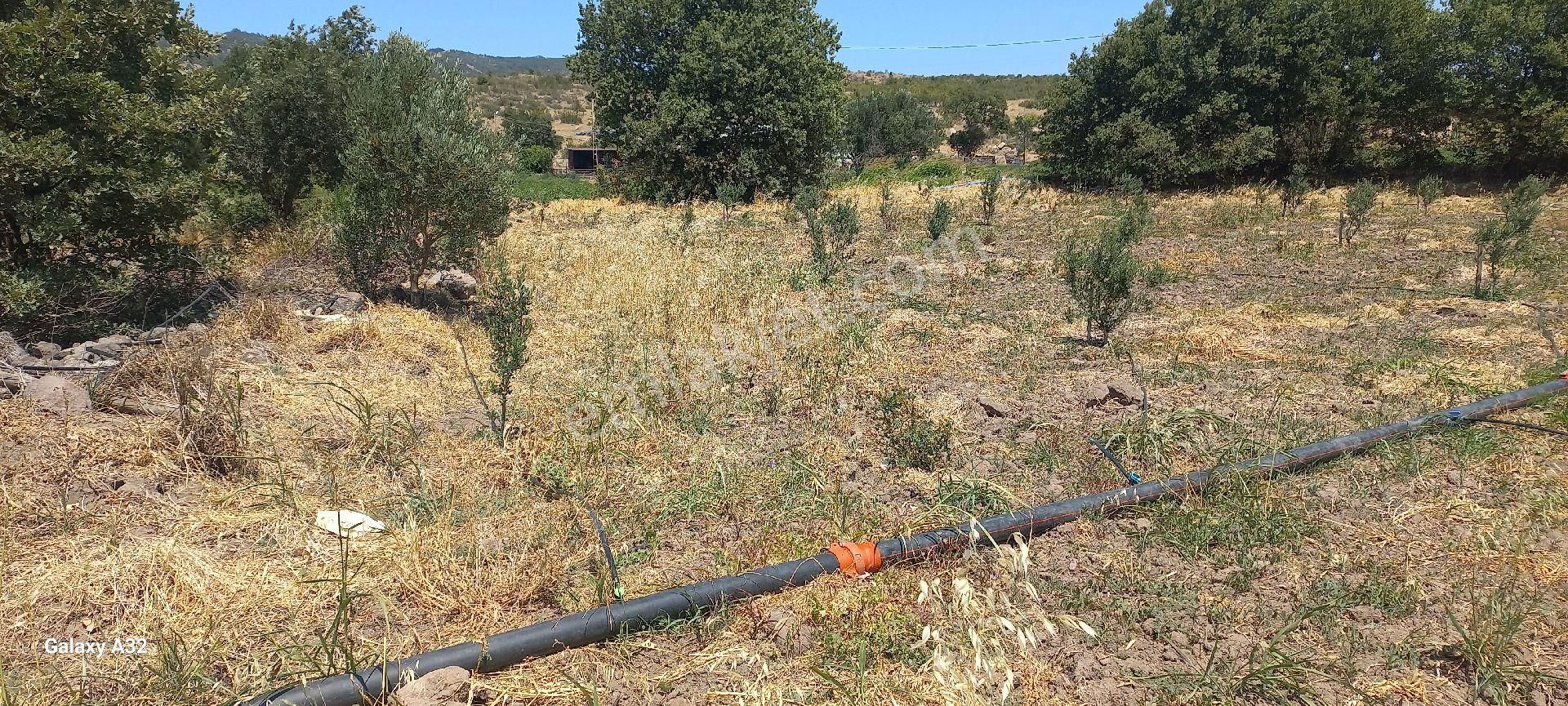 Satılık Müstakiltapu - Görsel 12