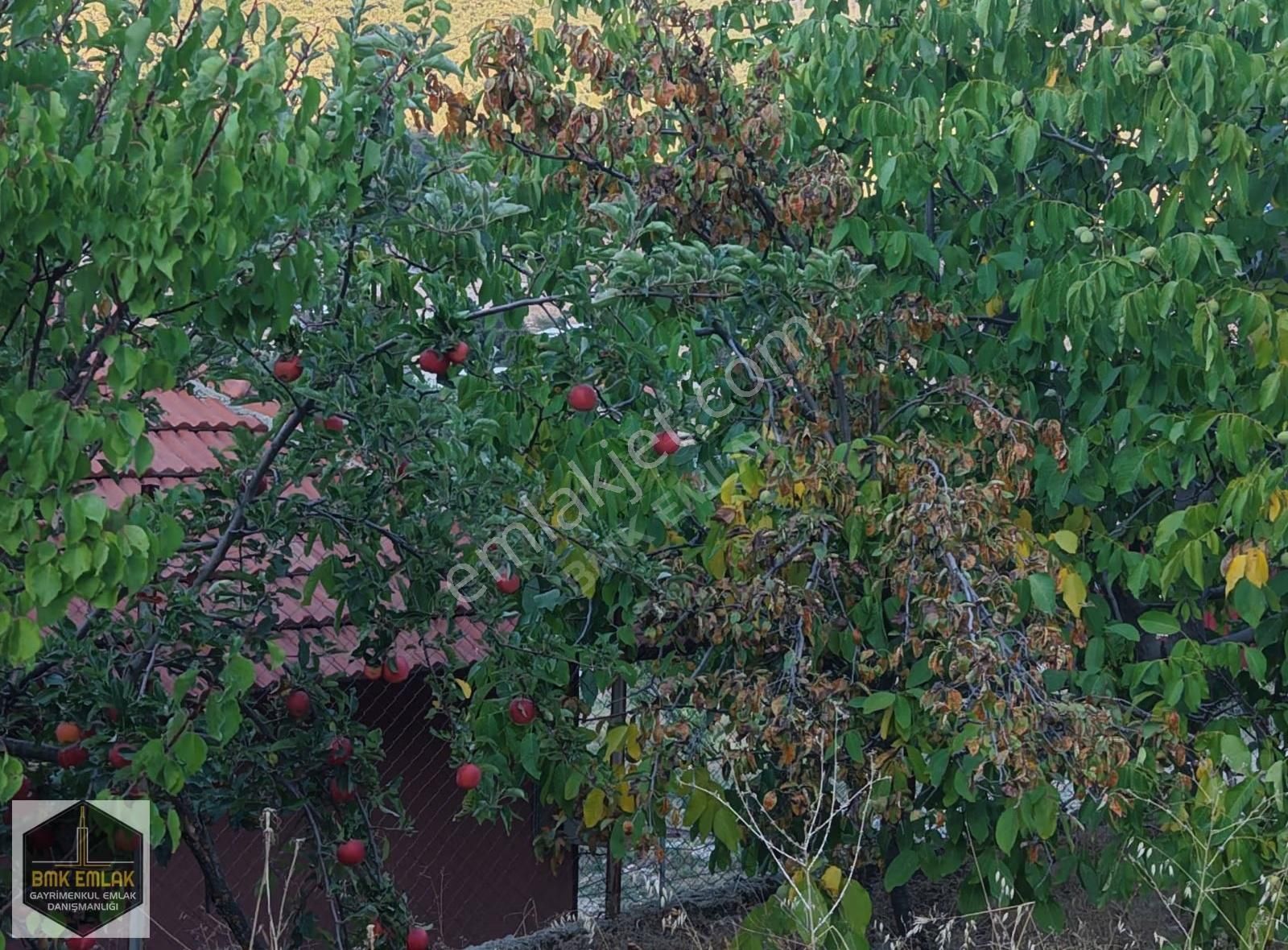 Bmkdan Antalya Elmalı Göltarlada Tarla İçinde Müstakil Ev - Görsel 17