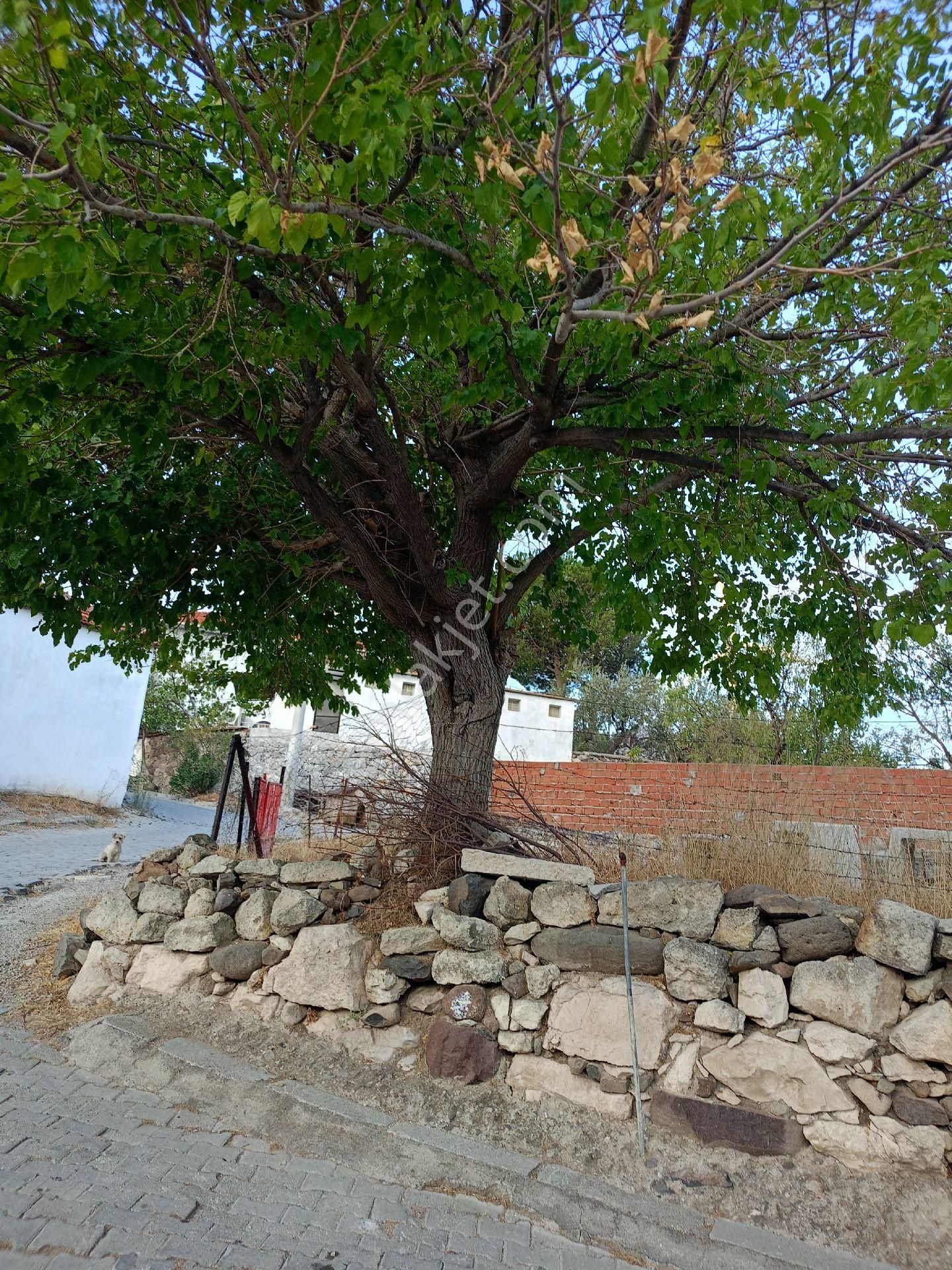 Koyuneli Mh Satılık İmarlı Arsa(tapuda Ev Geçiyor - Görsel 11