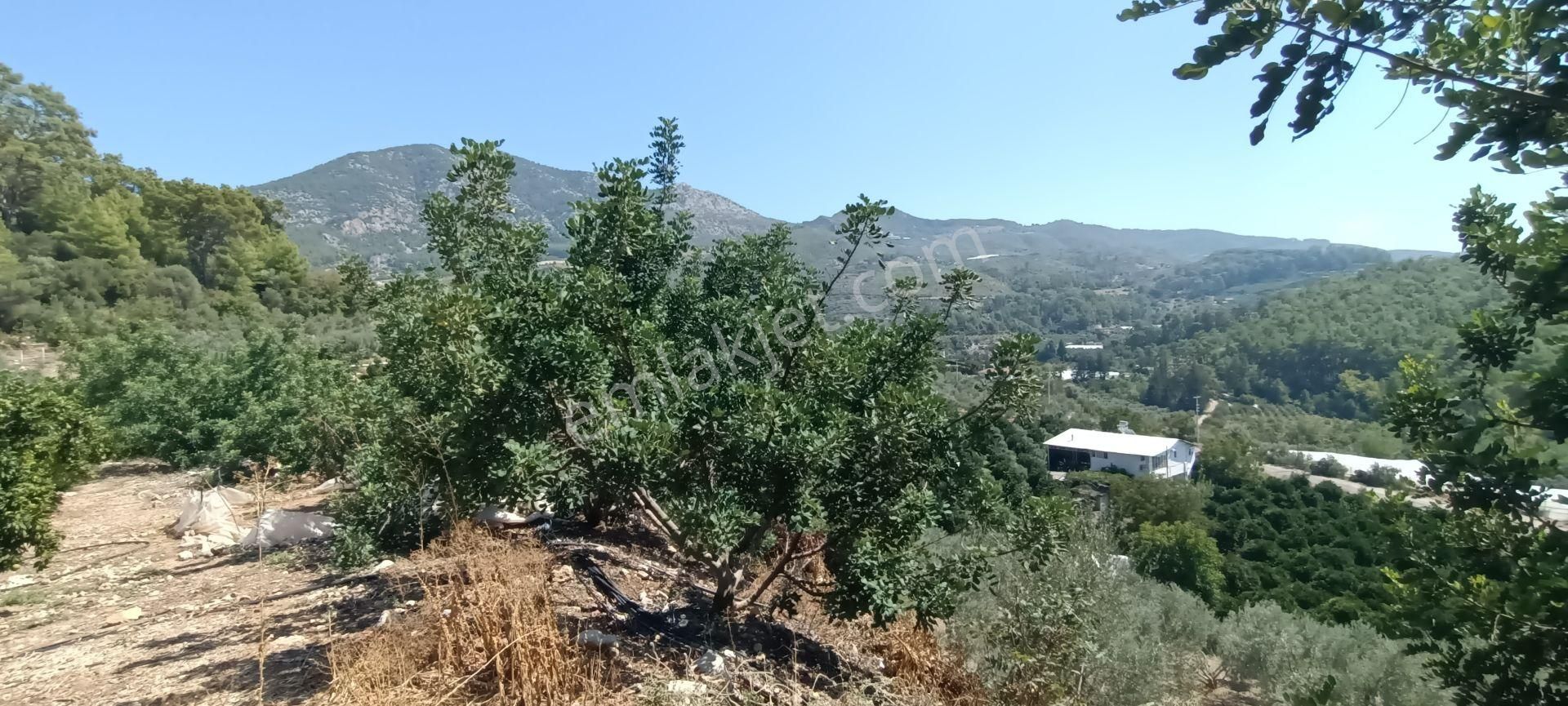 Kumluca Erentepe De( Gerçen) Satılık Bahçe - Görsel 20
