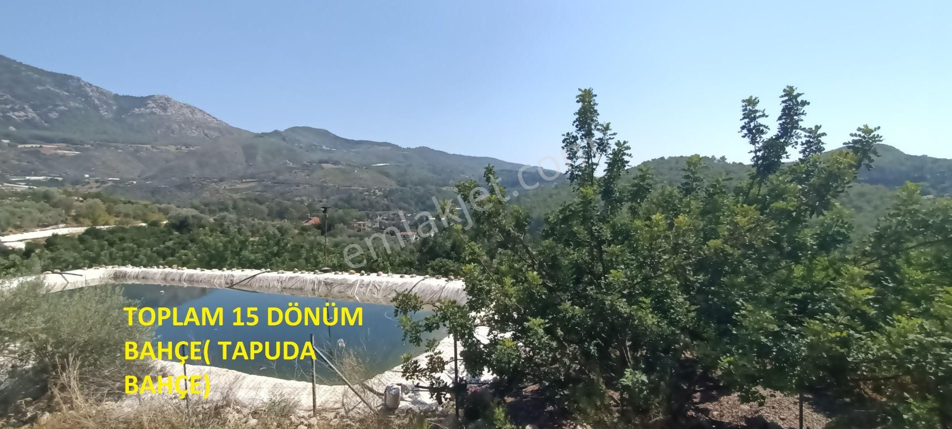 Kumluca Erentepe De( Gerçen) Satılık Bahçe - Görsel 28