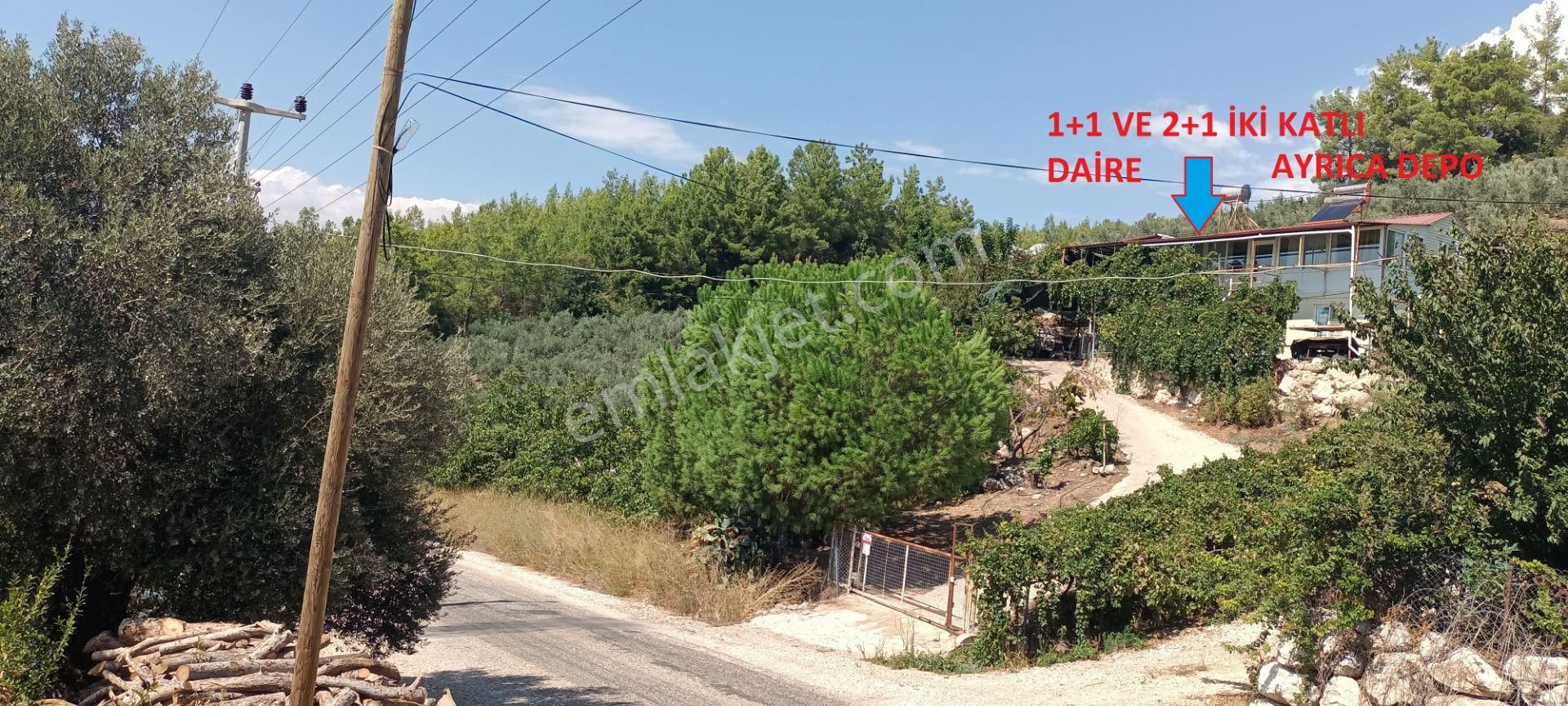 Kumluca Erentepe De( Gerçen) Satılık Bahçe - Görsel 2