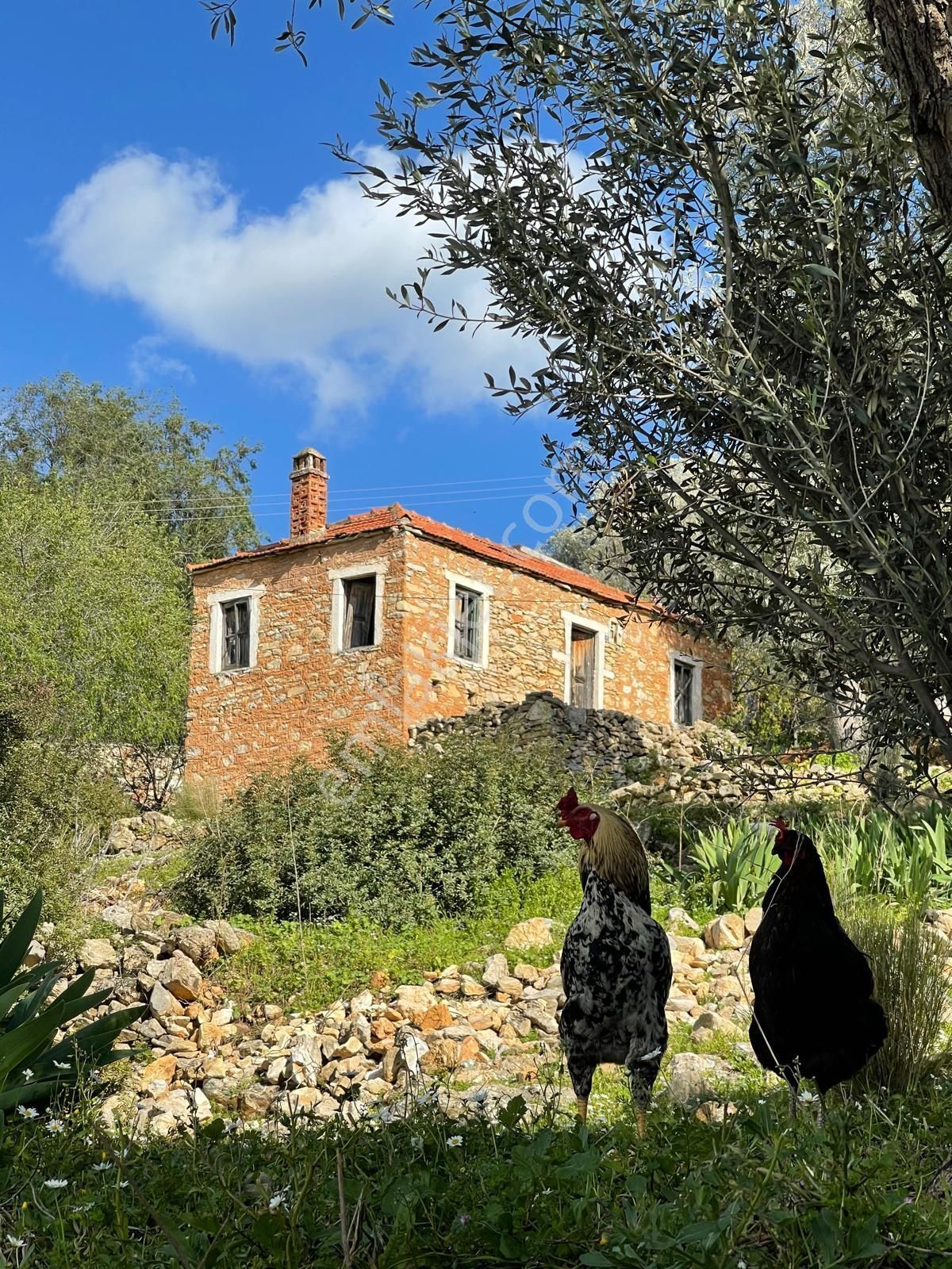 Bodrum Yalıçiftlik,te Satılık Projeli Ruhsatı Alınmış Arsa - Görsel 2