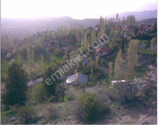 Denizli Çameli Kınıkyeri 'nde Satılık Tarla - Görsel 6