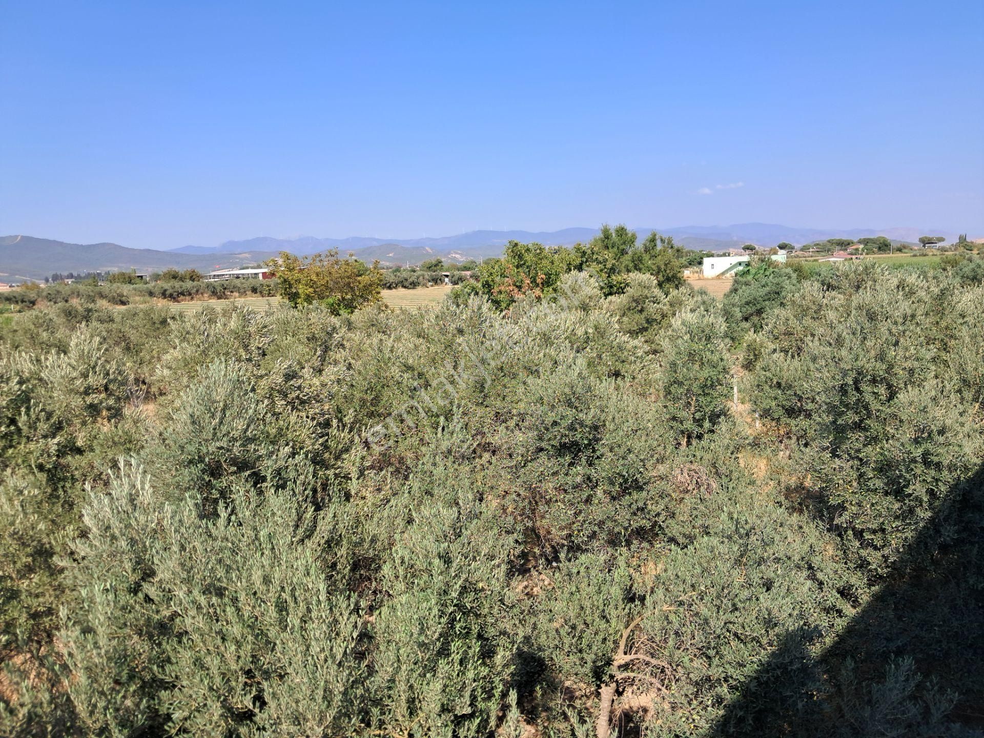 İzmir Torbalı Gold Emlaktan Satılık Bahçeli Ev - Görsel 26