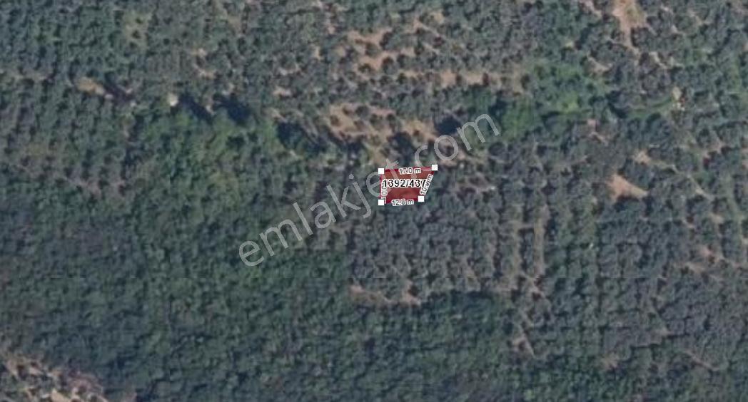 Bursa İznik Müşküle'de Satılık Göl Manzaralı Bahçe - Görsel 3