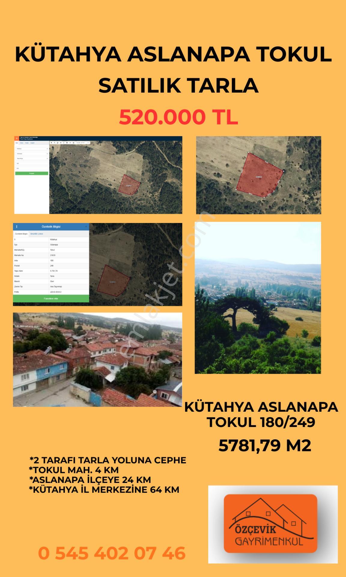 Kütahya Aslanapa Tokul Satılık Tarla - Görsel 7
