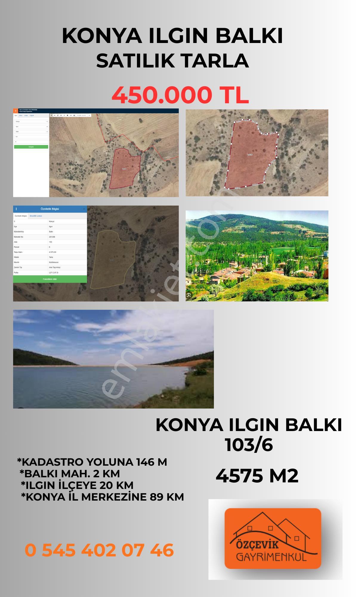 Konya Ilgın Balkı'da Satılık Tarla - Görsel 3