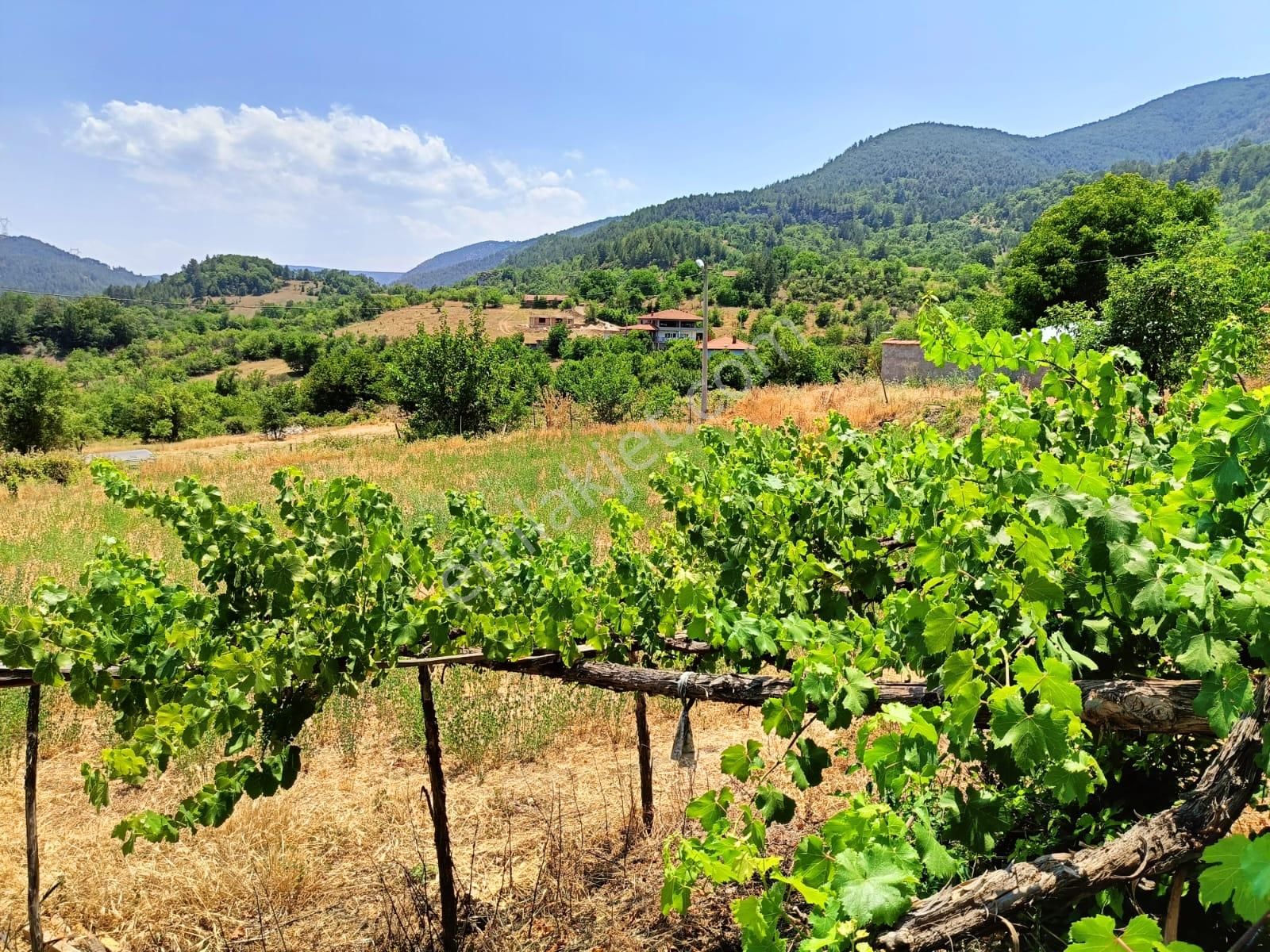 Bursa Keles Hereke Köyü Köyiçi Mevkiinde Satılık Köy Evi - Görsel 14