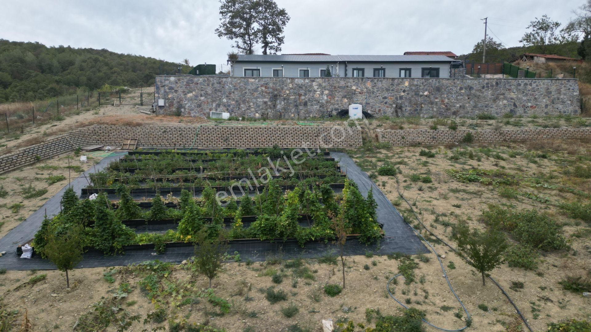 Kocaeli Karamürsel Akpınar 3597 M2 Bahçe İçinde Satılık 3+1 Müstakil Ev - Görsel 11