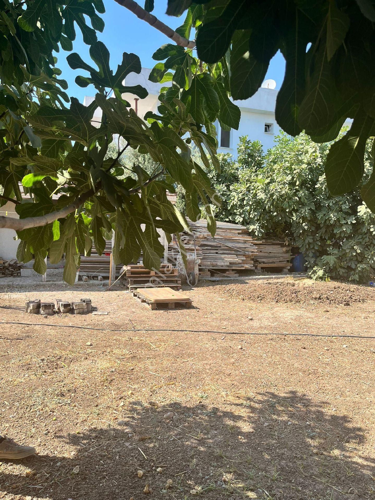 İzmir Torbalı Ayrancılar Da Satılık İki Katlı Müstakil Bina - Görsel 5