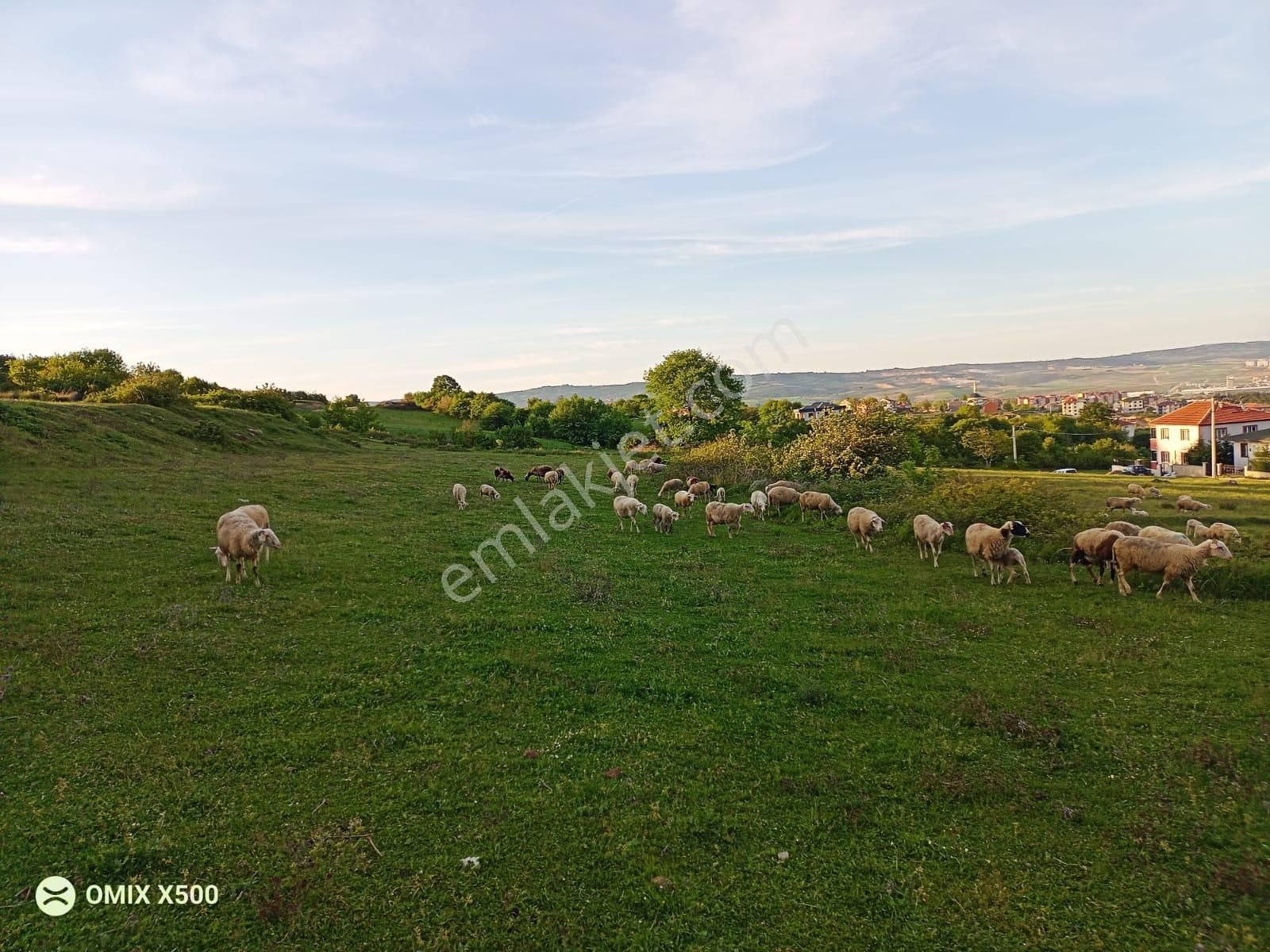 Yeniceköy'de 3,5 Kat İmarlı Satılık Fırsat Arsaları... - Görsel 9
