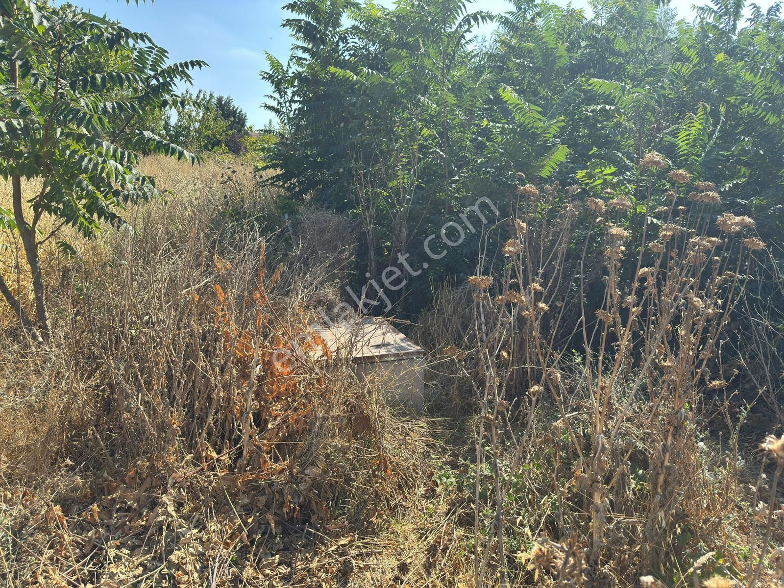 Yalıntaş 309 M2 İmarlı Arsa - Görsel 8