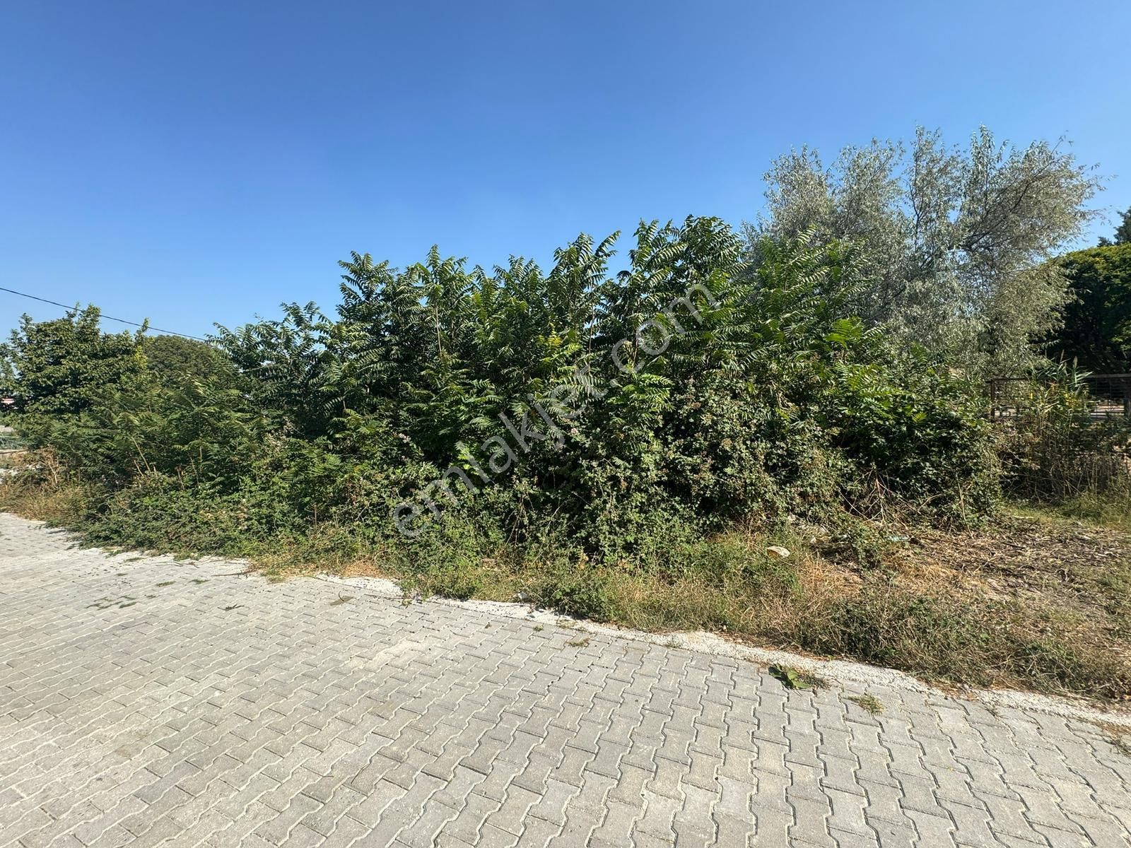 Yalıntaş 309 M2 İmarlı Arsa - Görsel 13