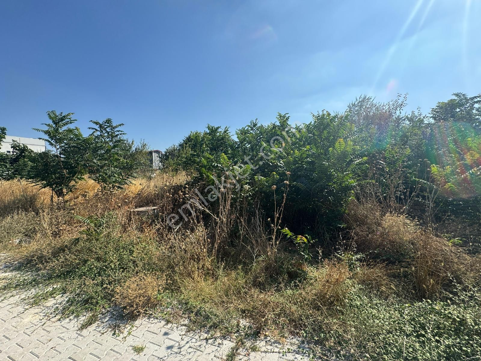 Yalıntaş 309 M2 İmarlı Arsa - Görsel 7