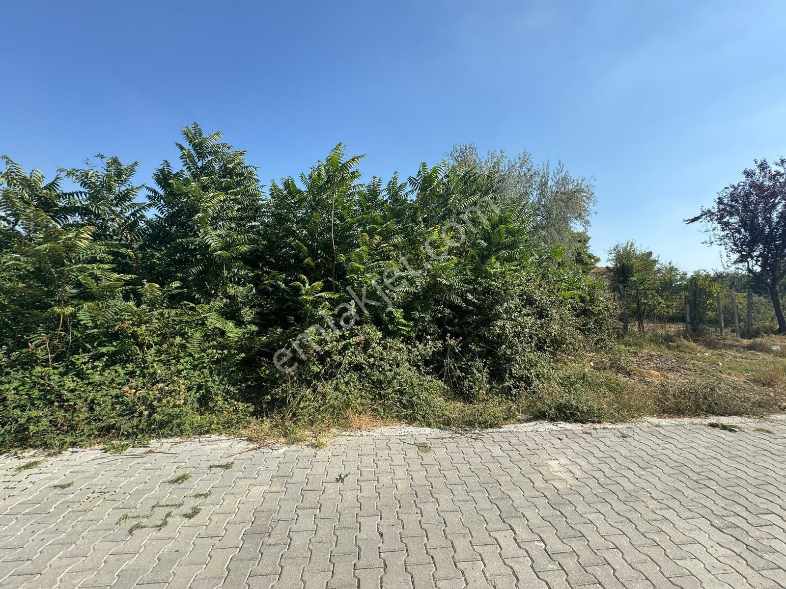 Yalıntaş 309 M2 İmarlı Arsa - Görsel 12