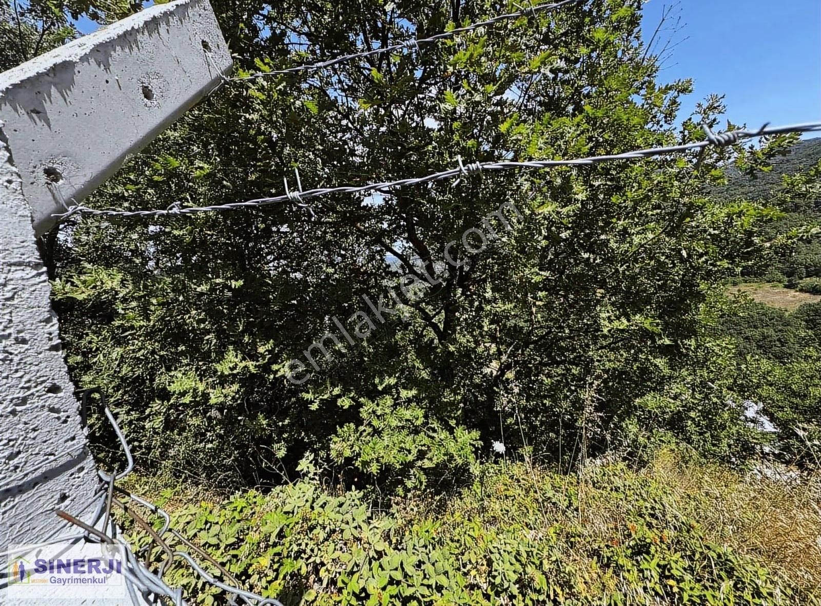 Gemlık Güvenlı Köyünde Imarlı Arsa - Görsel 2