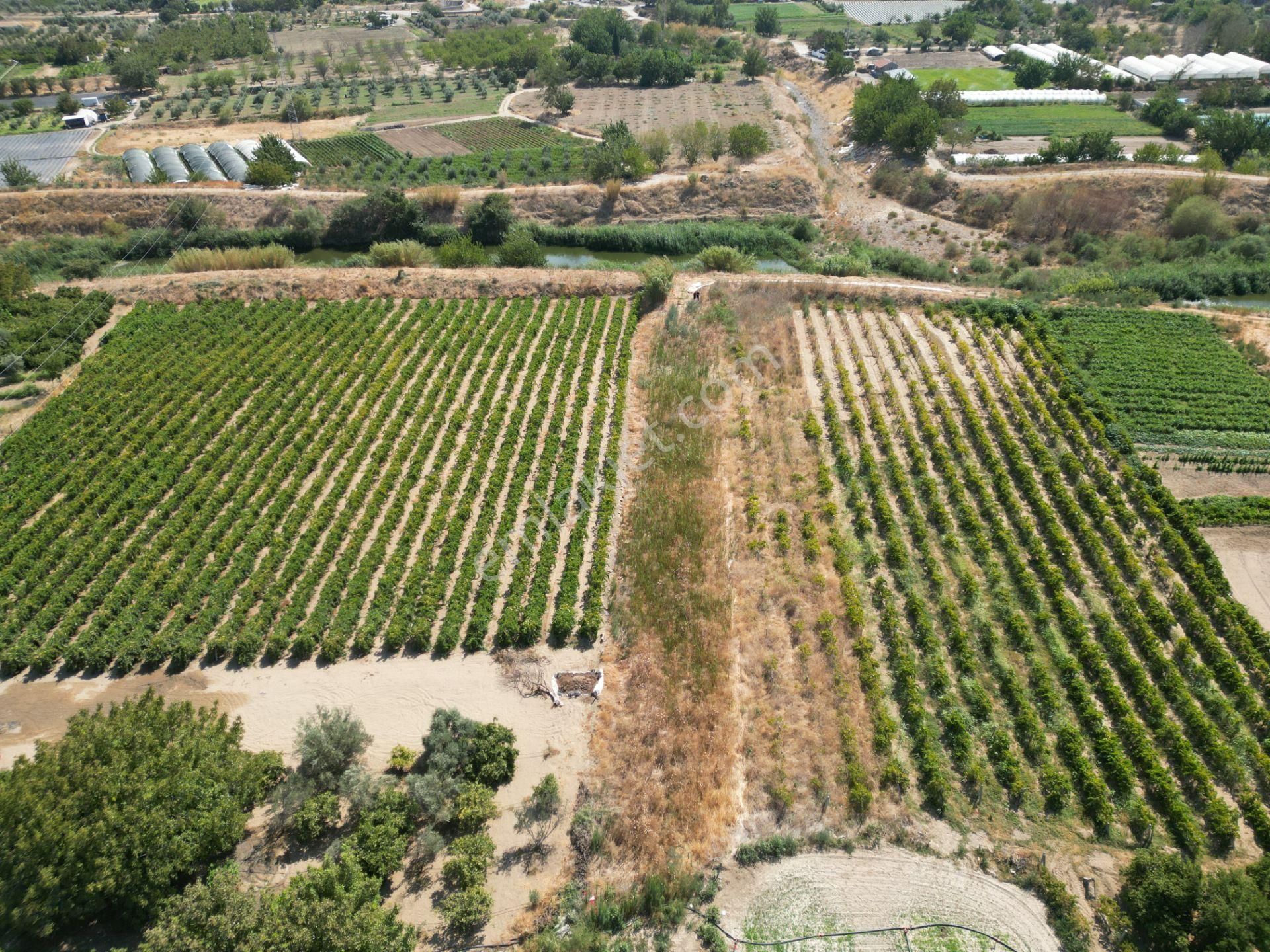 Görece'de Gediz Nehri Yanında Yolu Açık Tarla - Görsel 8