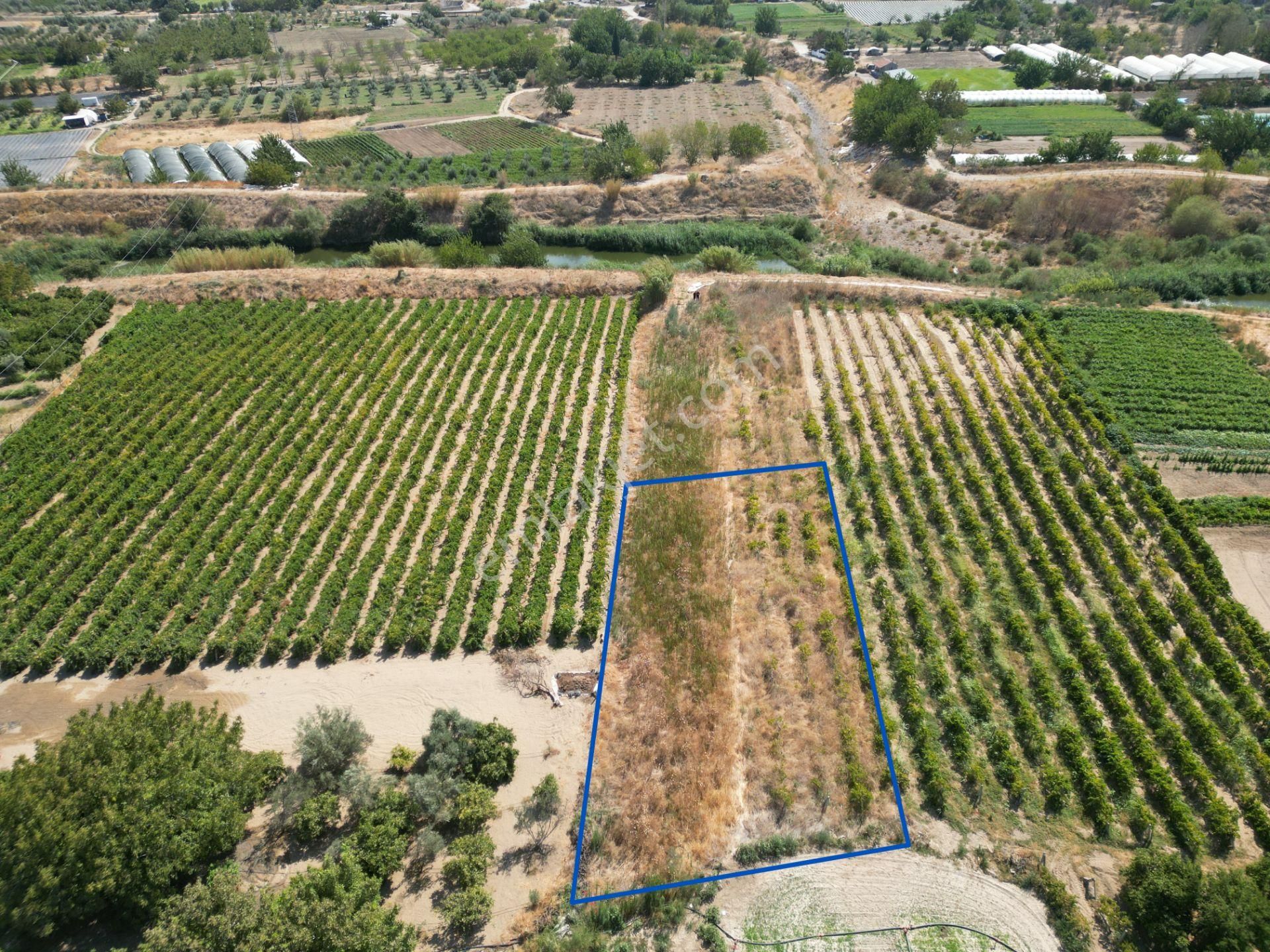 Görece'de Gediz Nehri Yanında Yolu Açık Tarla - Görsel 4