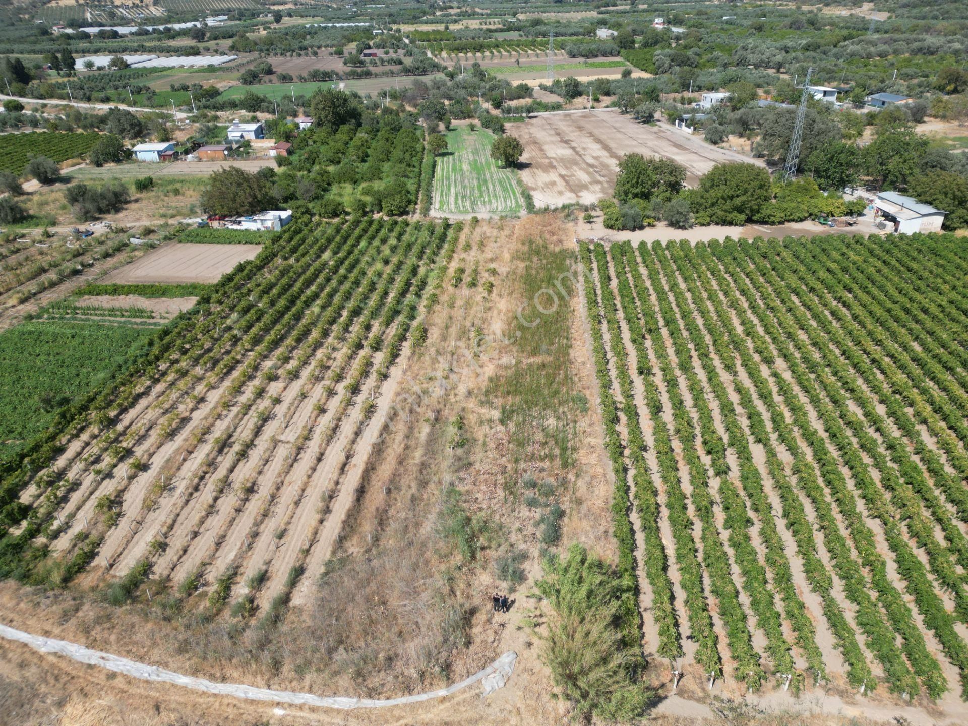 Görece'de Gediz Nehri Yanında Yolu Açık Tarla - Görsel 2