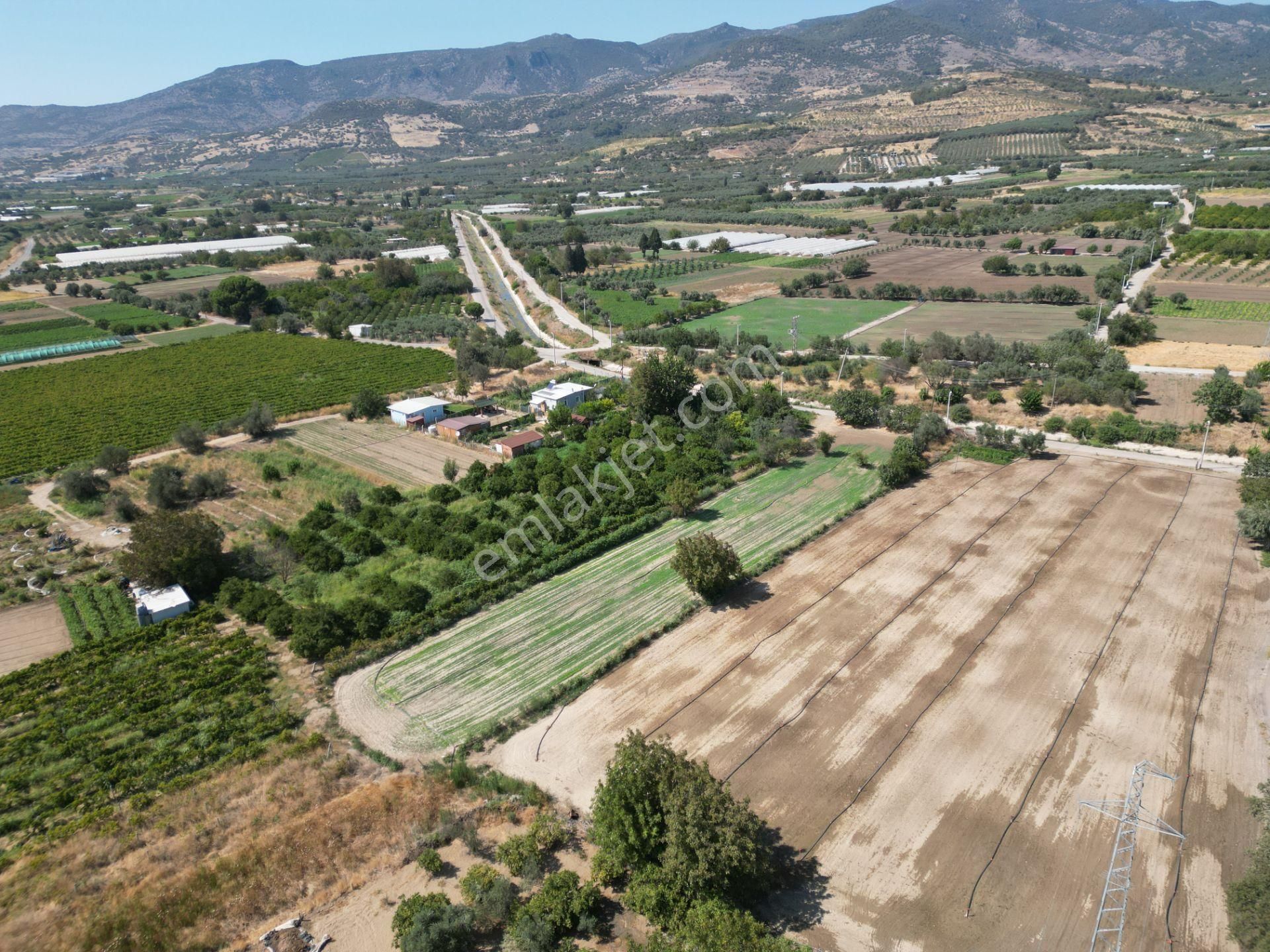 Görece'de Gediz Nehri Yanında Yolu Açık Tarla - Görsel 19