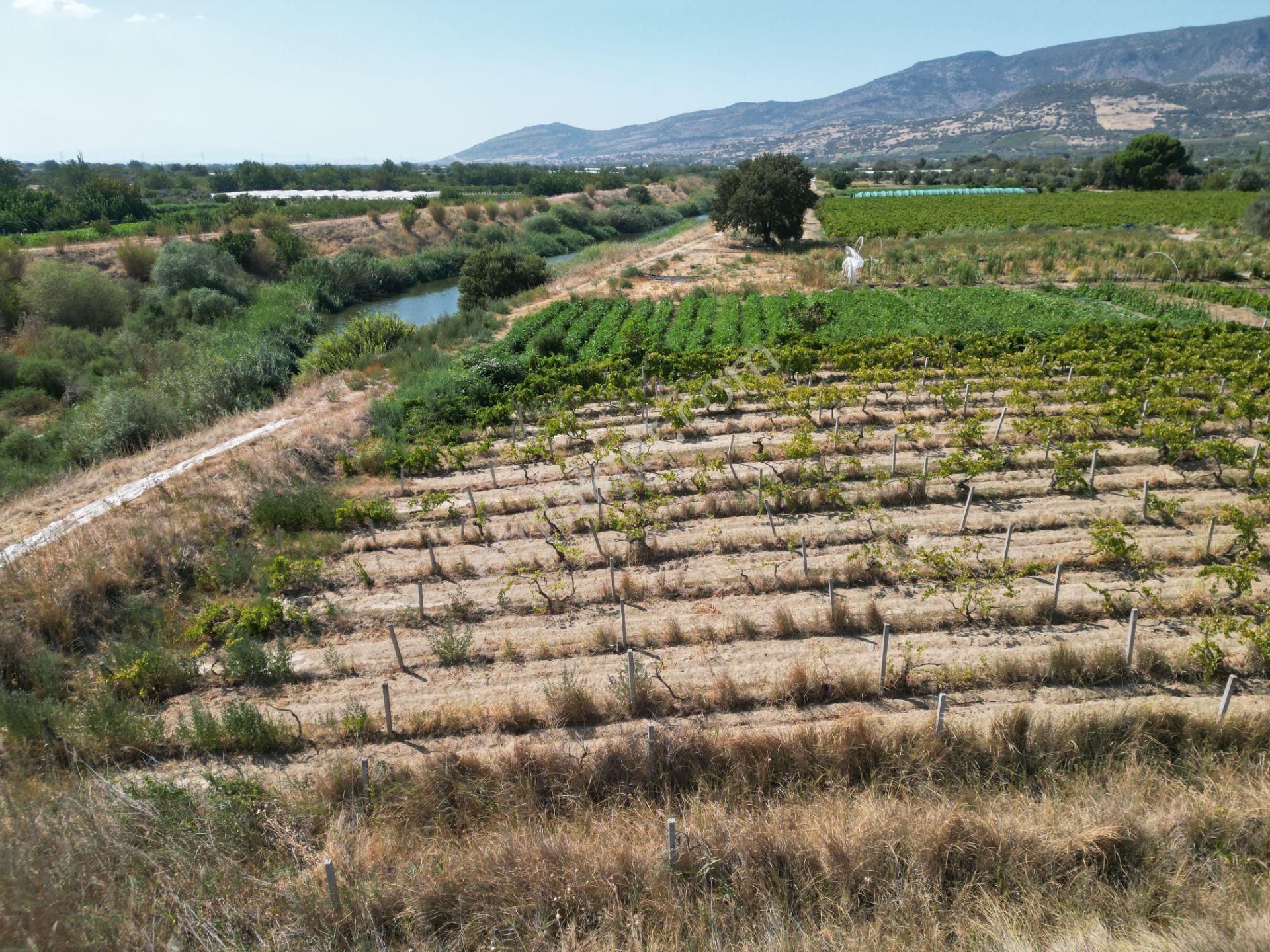 Görece'de Gediz Nehri Yanında Yolu Açık Tarla - Görsel 18