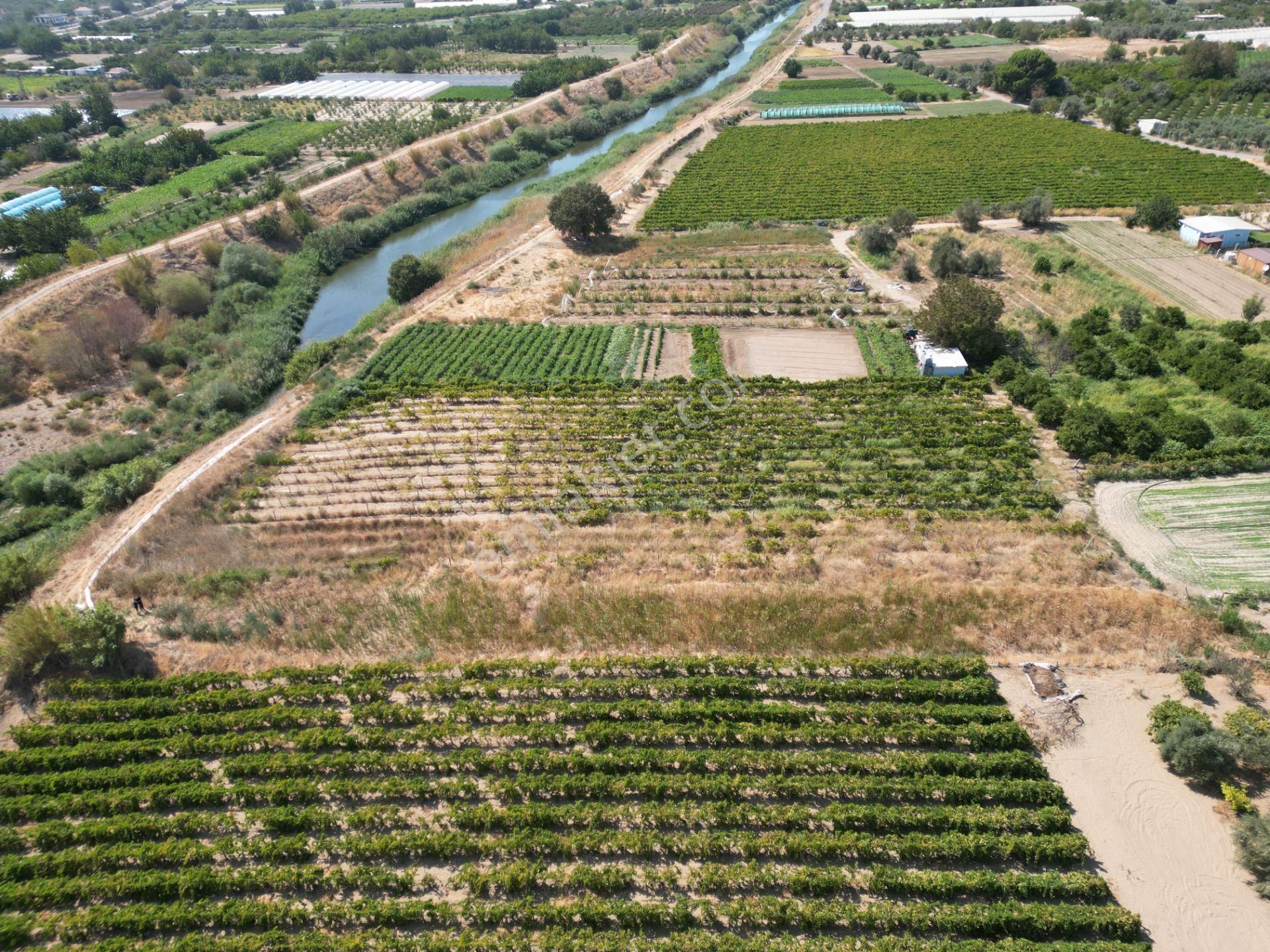 Görece'de Gediz Nehri Yanında Yolu Açık Tarla - Görsel 10