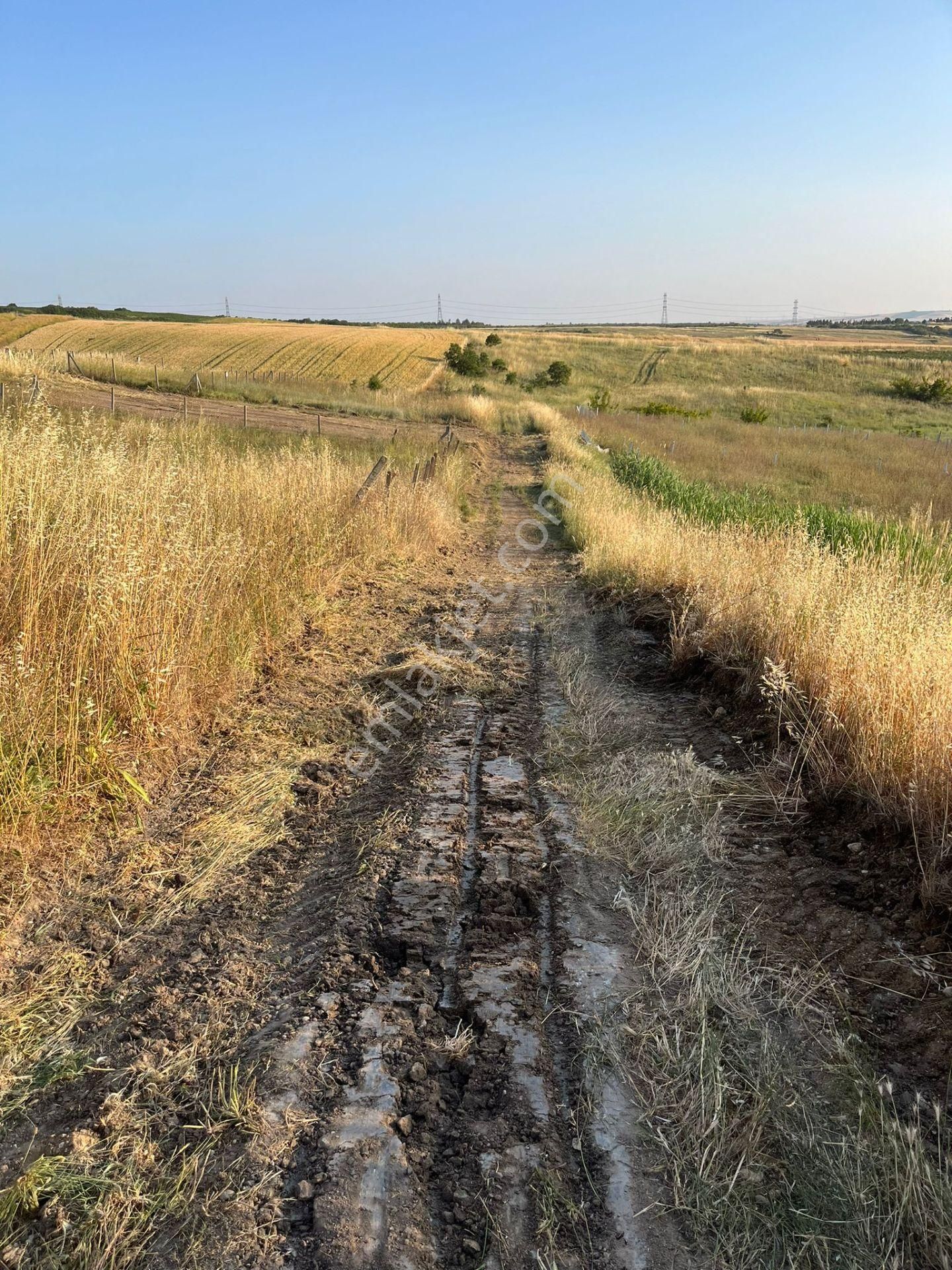 Silivri Balabanda Satılık Taksitli Arsalar - Görsel 21