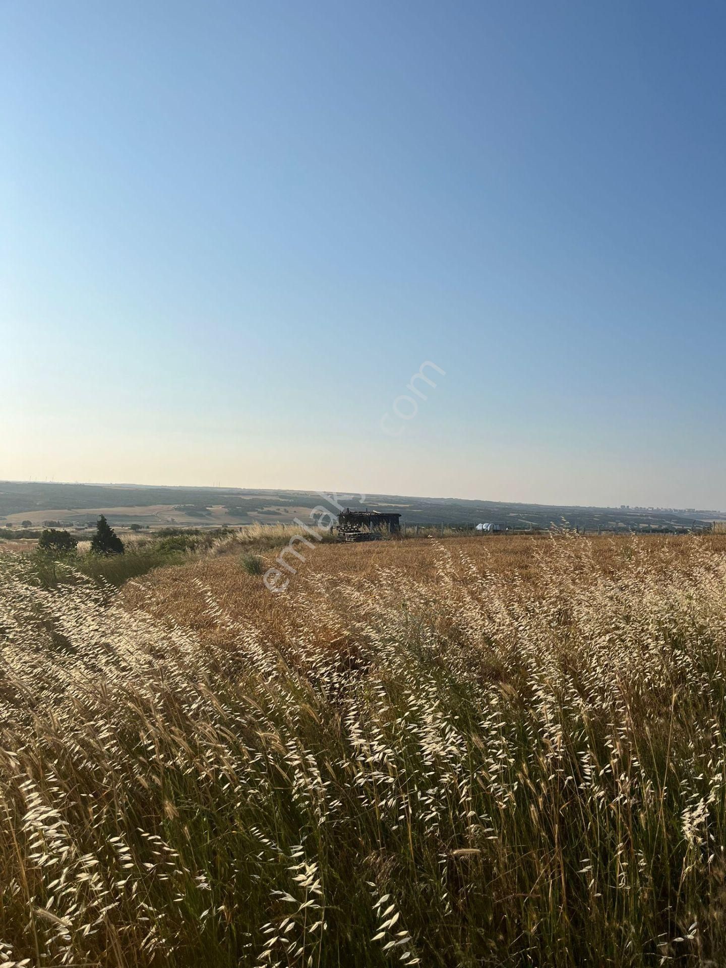Silivri Balabanda Satılık Taksitli Arsalar - Görsel 16