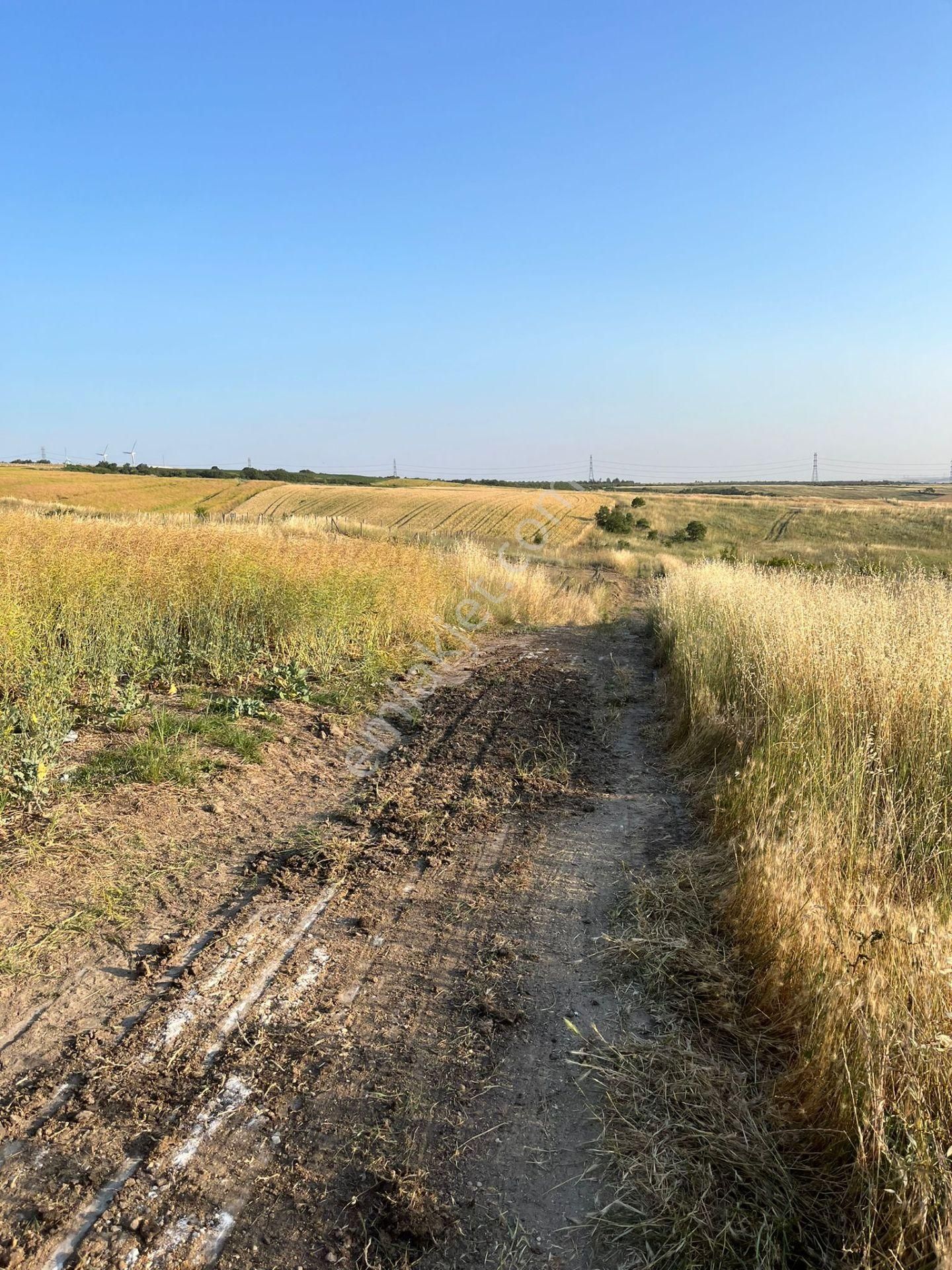 Silivri Balabanda Satılık Taksitli Arsalar - Görsel 22