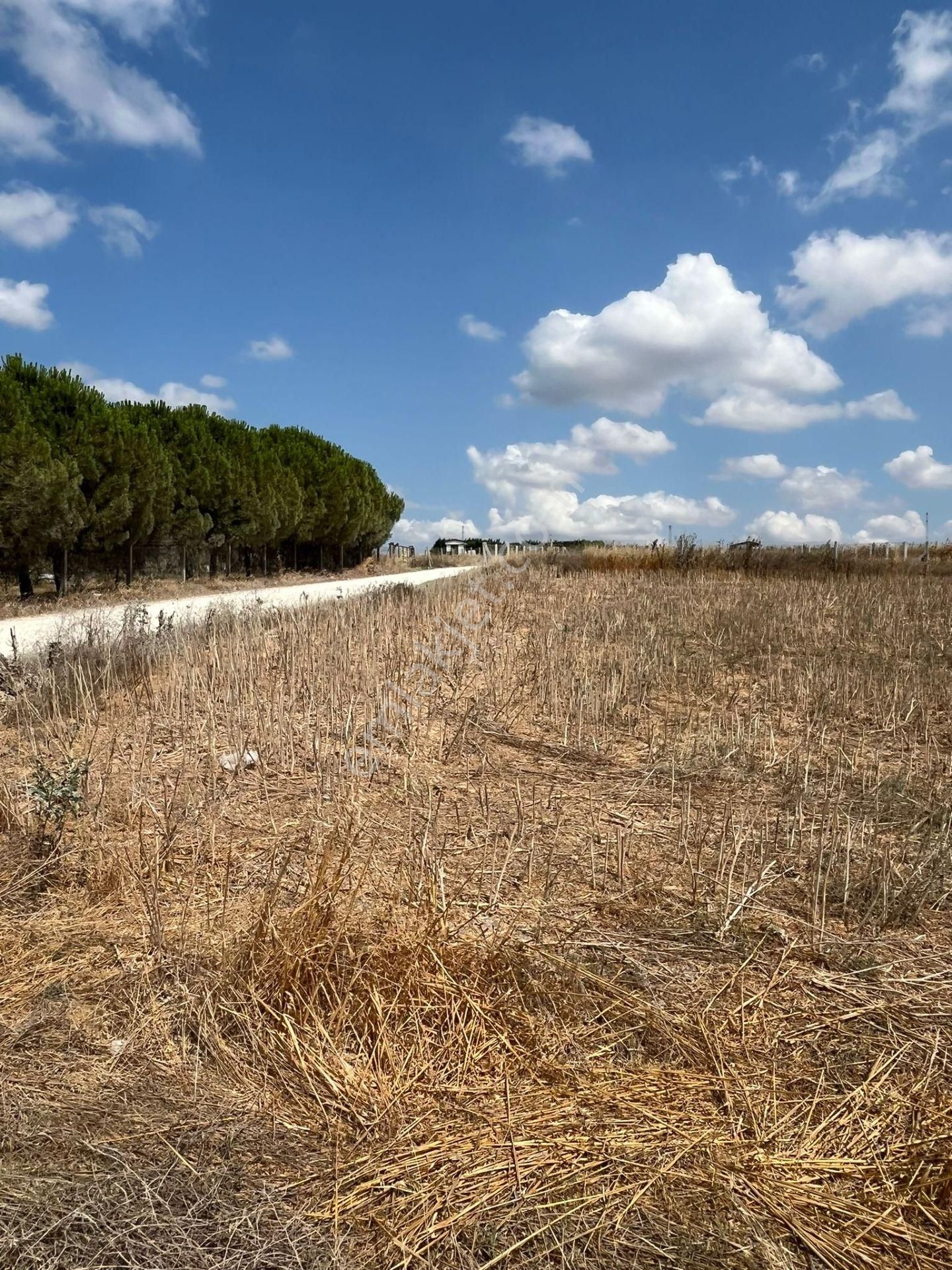 Silivri Balabanda Satılık Taksitli Arsalar - Görsel 23