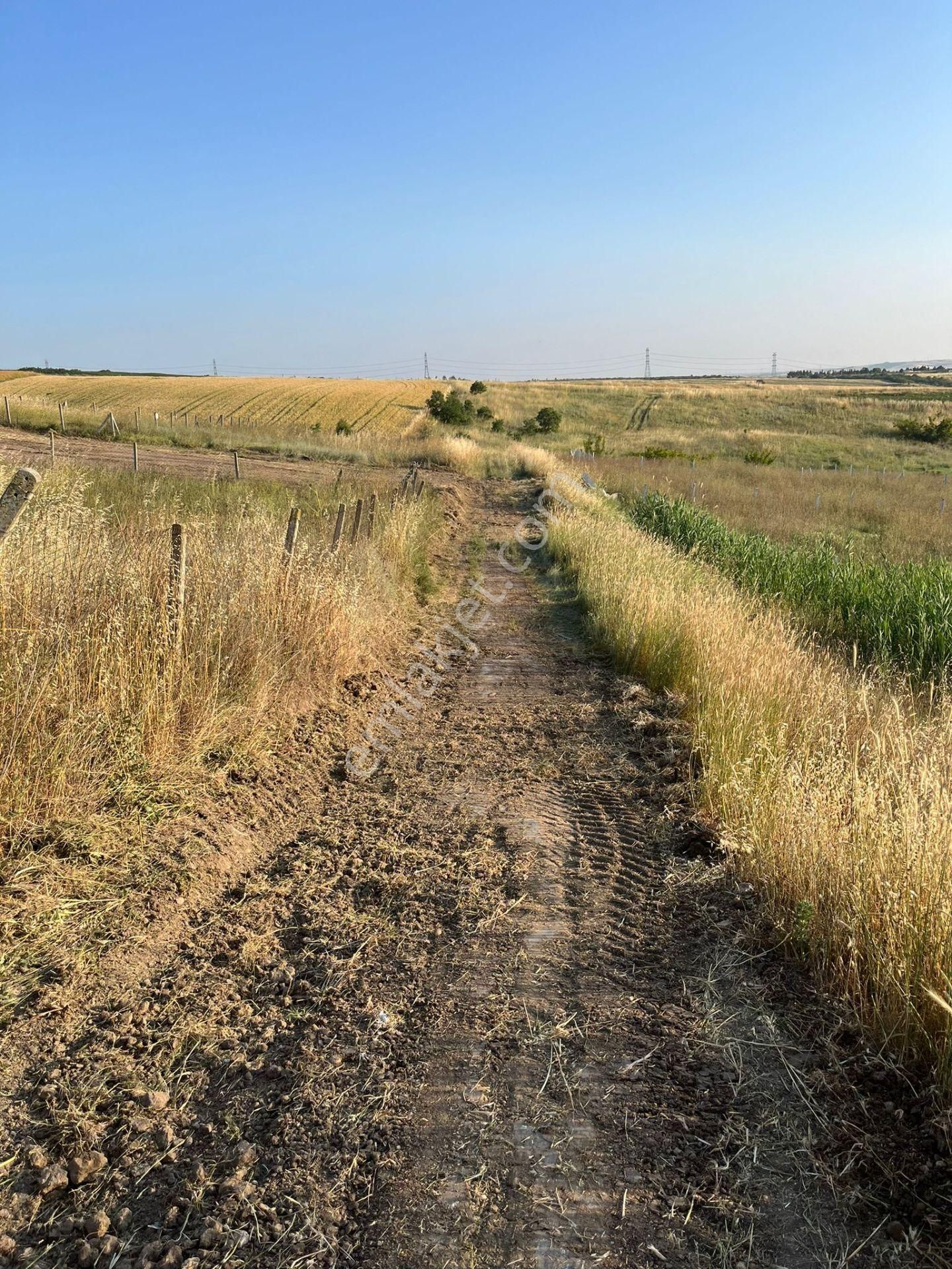 Silivri Balabanda Satılık Taksitli Arsalar - Görsel 2
