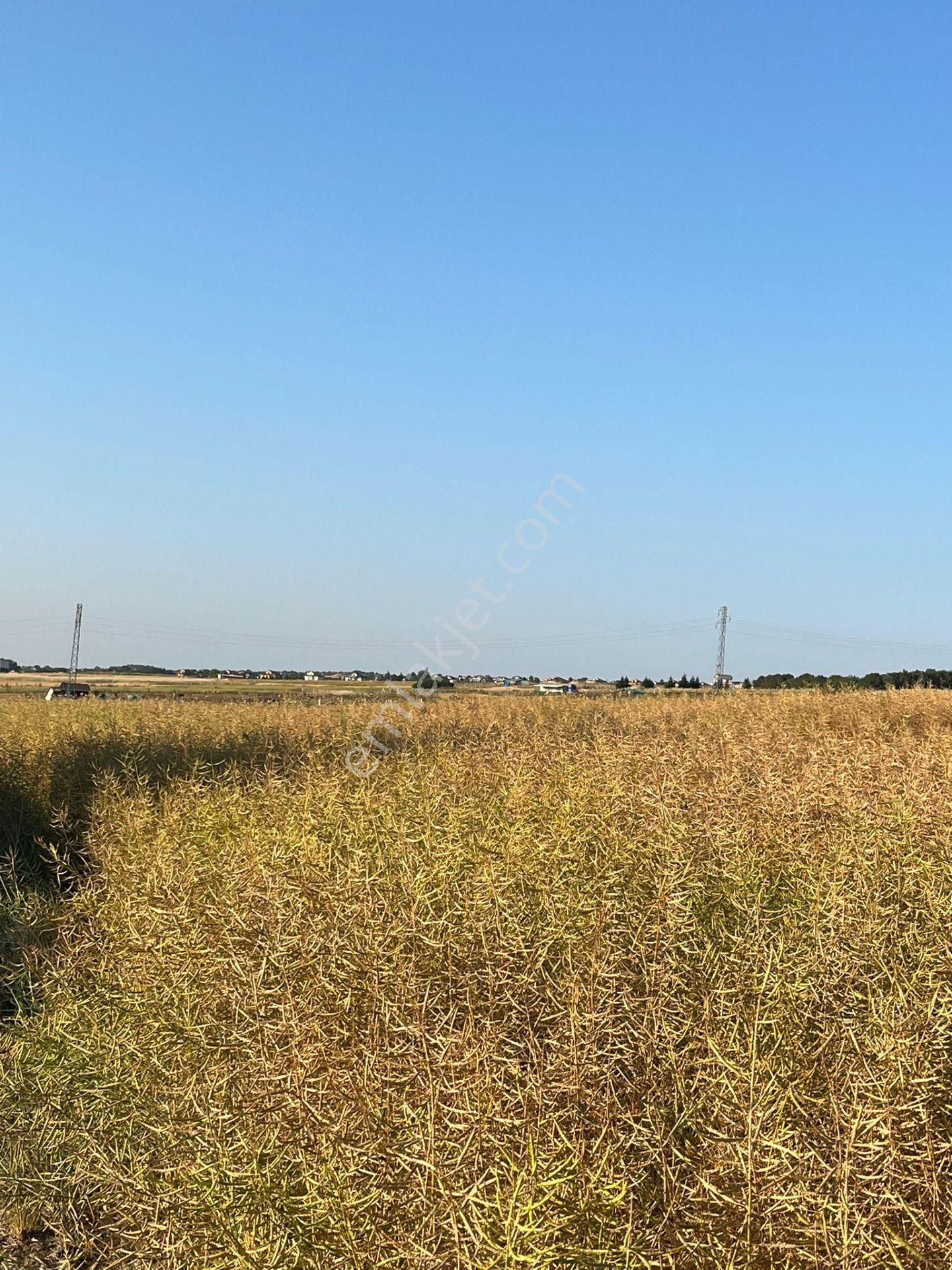 Silivri Balabanda Satılık Taksitli Arsalar - Görsel 20