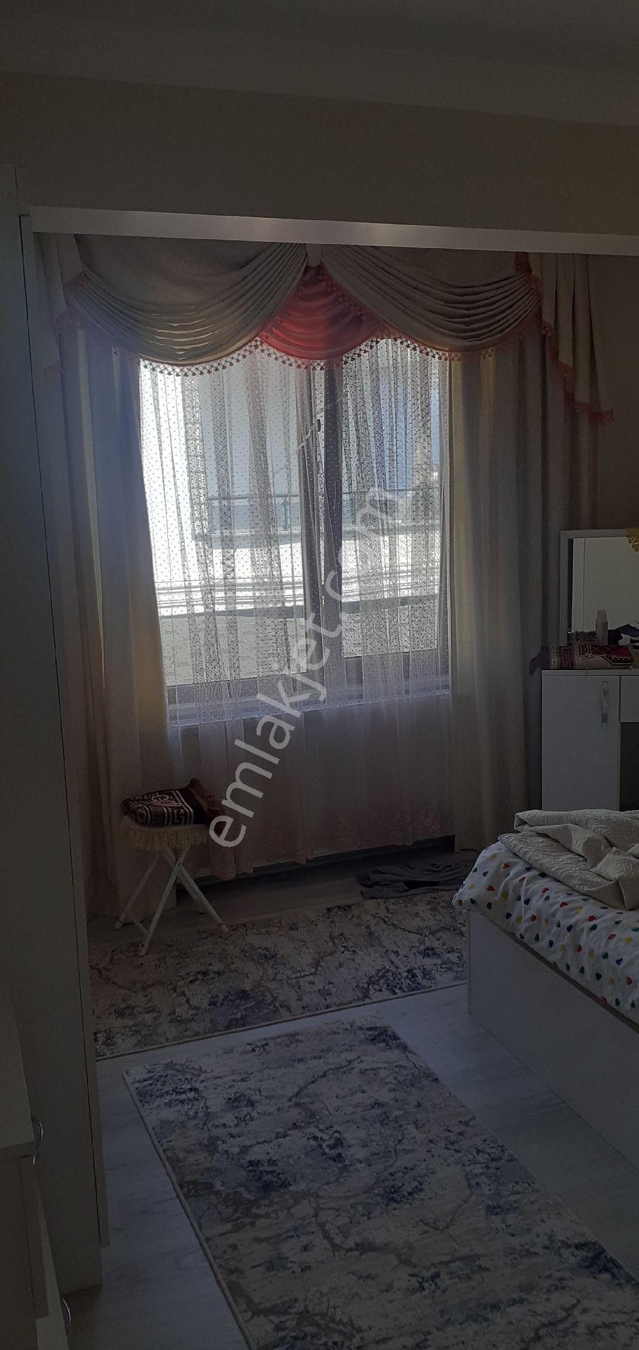 Sakarya Kocaali Alandere - Görsel 13