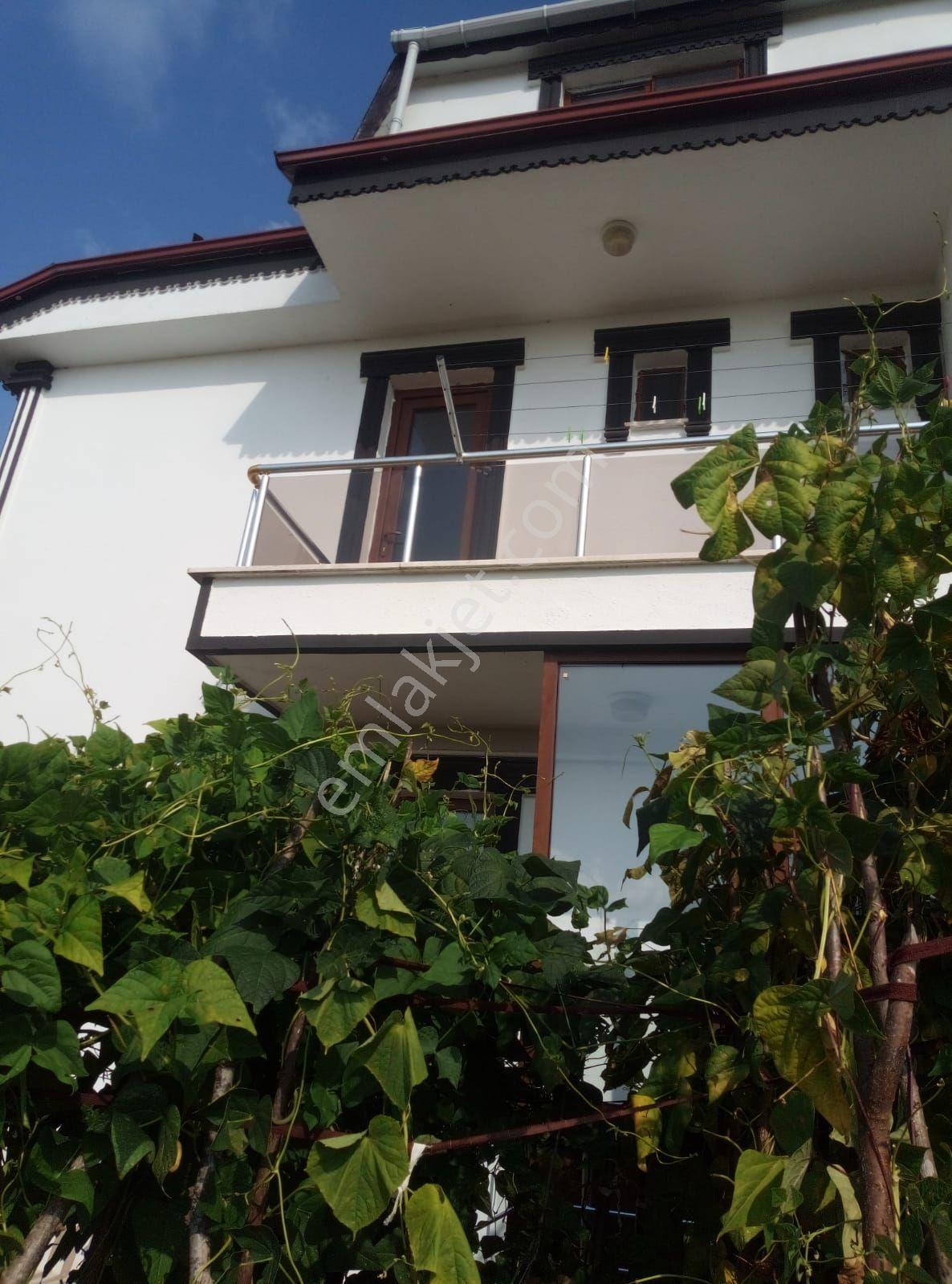 Sakarya Kocaali Alandere