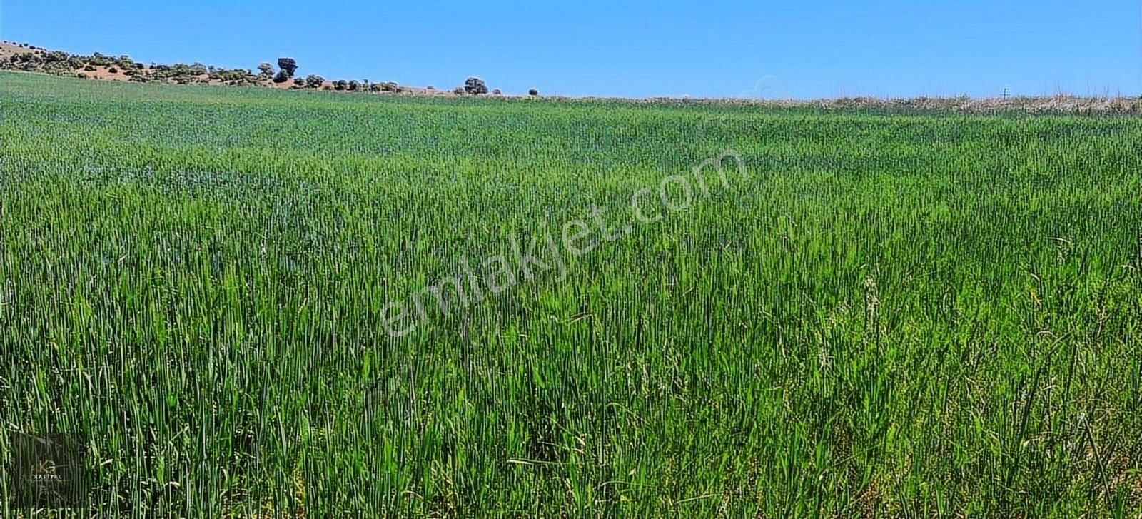 Afyon Sandıklı Çevrepınar Da Hes Destekli Tarla - Görsel 4