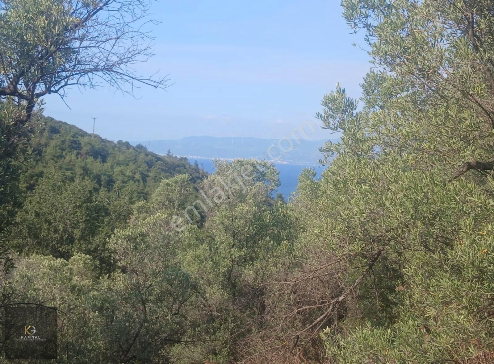 Mudanya Kumyaka Köyü'nde Kapital'den Yatırımlık Fırsat Zeytinlik - Görsel 20