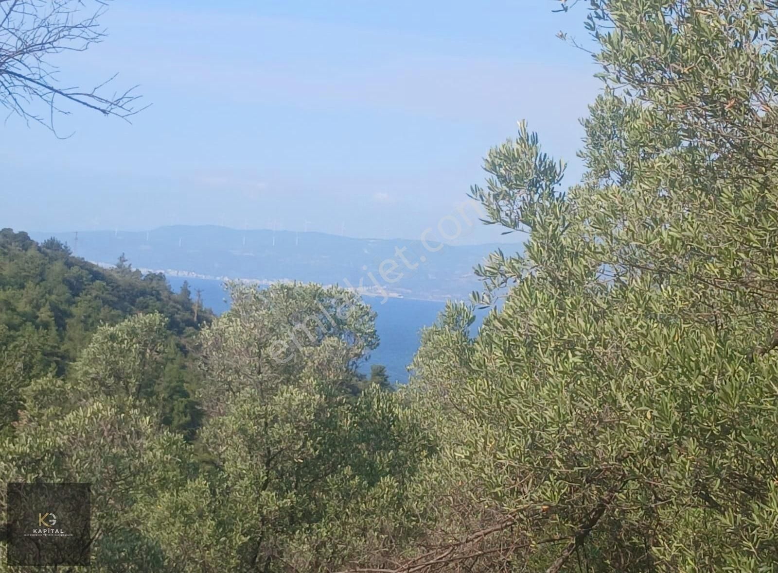 Mudanya Kumyaka Köyü'nde Kapital'den Yatırımlık Fırsat Zeytinlik - Görsel 18