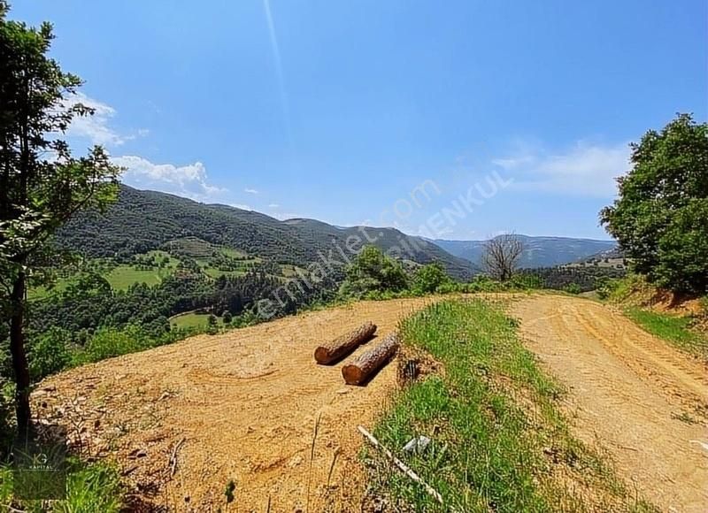 Kapital'den Uludağ Kirazlı Köyün'de 180 M2 Bahçe - Görsel 6