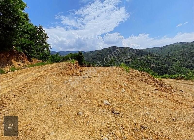 Kapital'den Uludağ Kirazlı Köyün'de 180 M2 Bahçe - Görsel 13