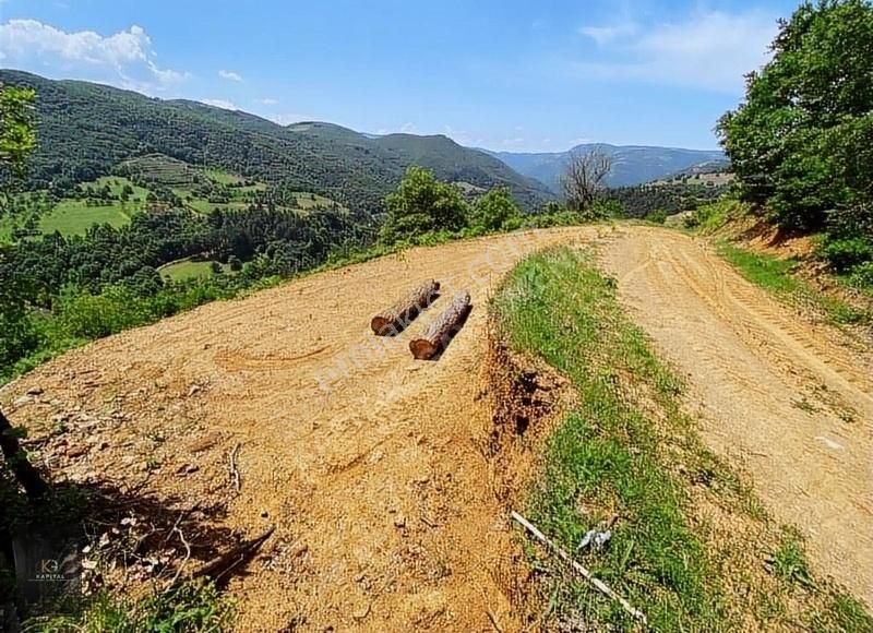 Kapital'den Uludağ Kirazlı Köyün'de 180 M2 Bahçe - Görsel 3