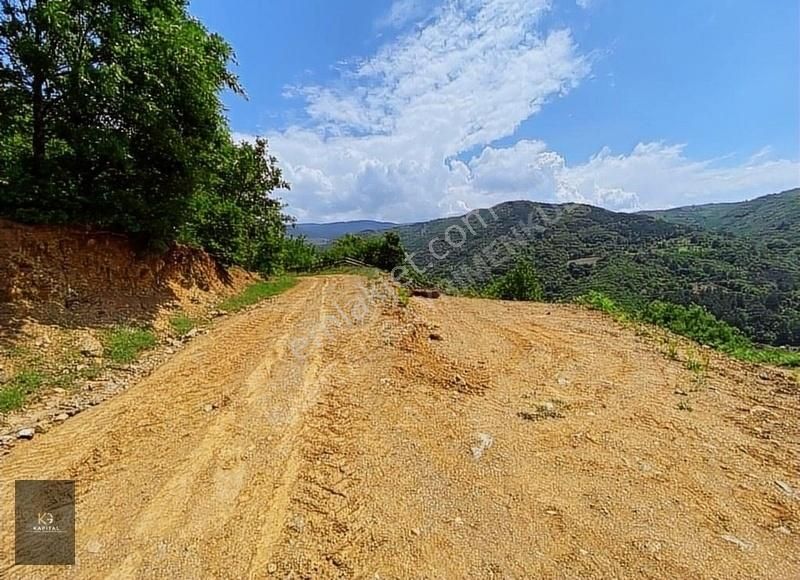 Kapital'den Uludağ Kirazlı Köyün'de 180 M2 Bahçe - Görsel 11