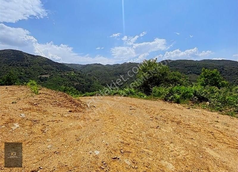 Kapital'den Uludağ Kirazlı Köyün'de 180 M2 Bahçe