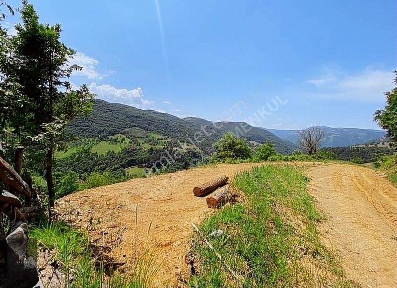 Kapital'den Uludağ Kirazlı Köyün'de 180 M2 Bahçe - Görsel 9