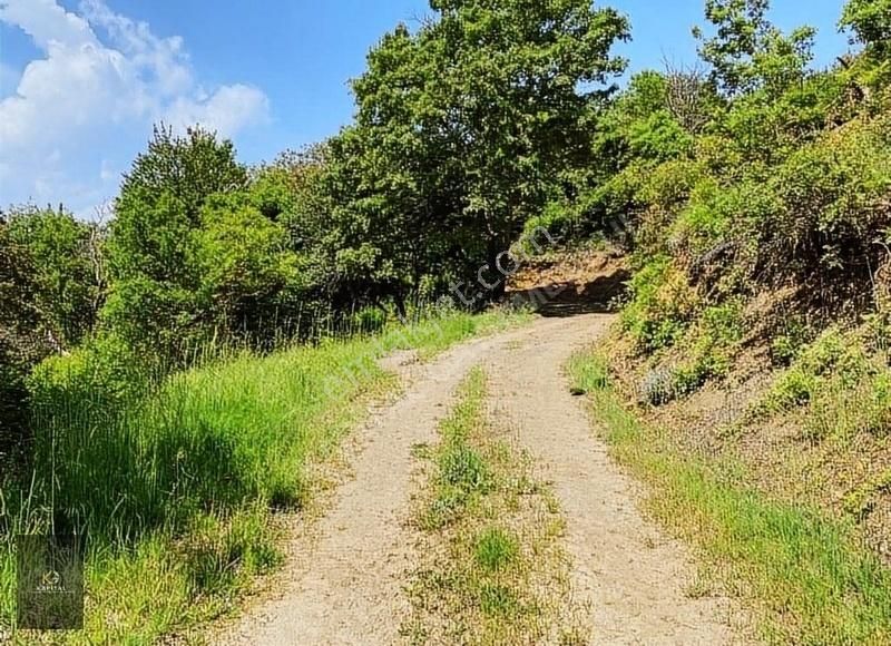 Uludağ Bağlı Köyü'de 268 M2 Bahçe - Görsel 4