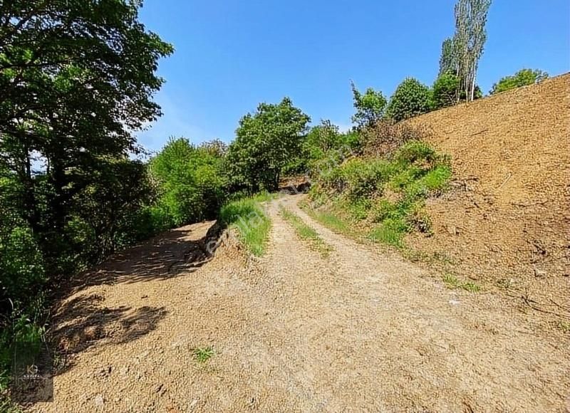 Uludağ Bağlı Köyü'de 268 M2 Bahçe