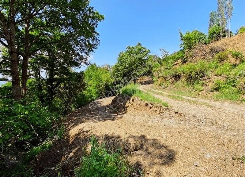 Uludağ Bağlı Köyü'de 268 M2 Bahçe - Görsel 17